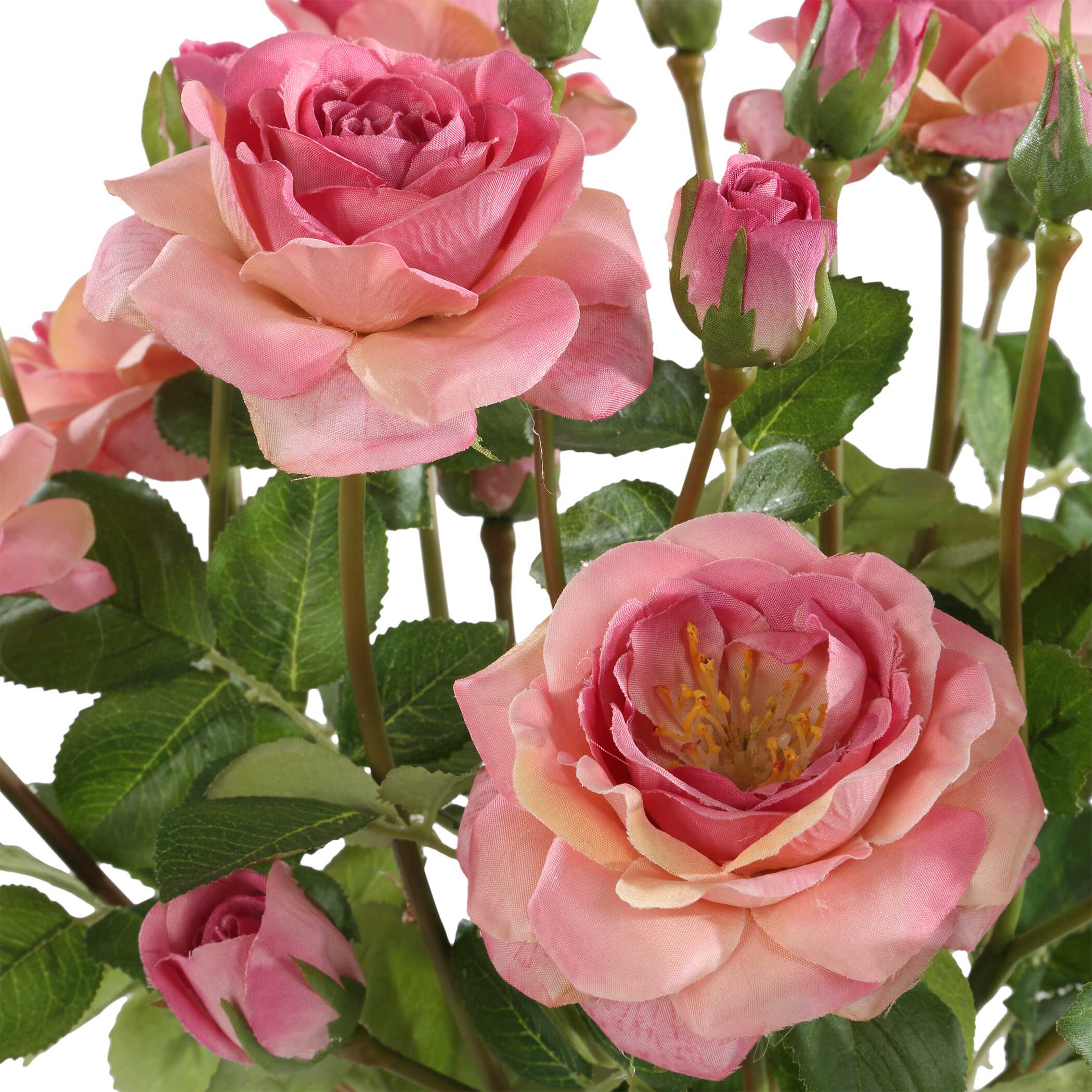 Adoration Rose Bouquet - Image 4