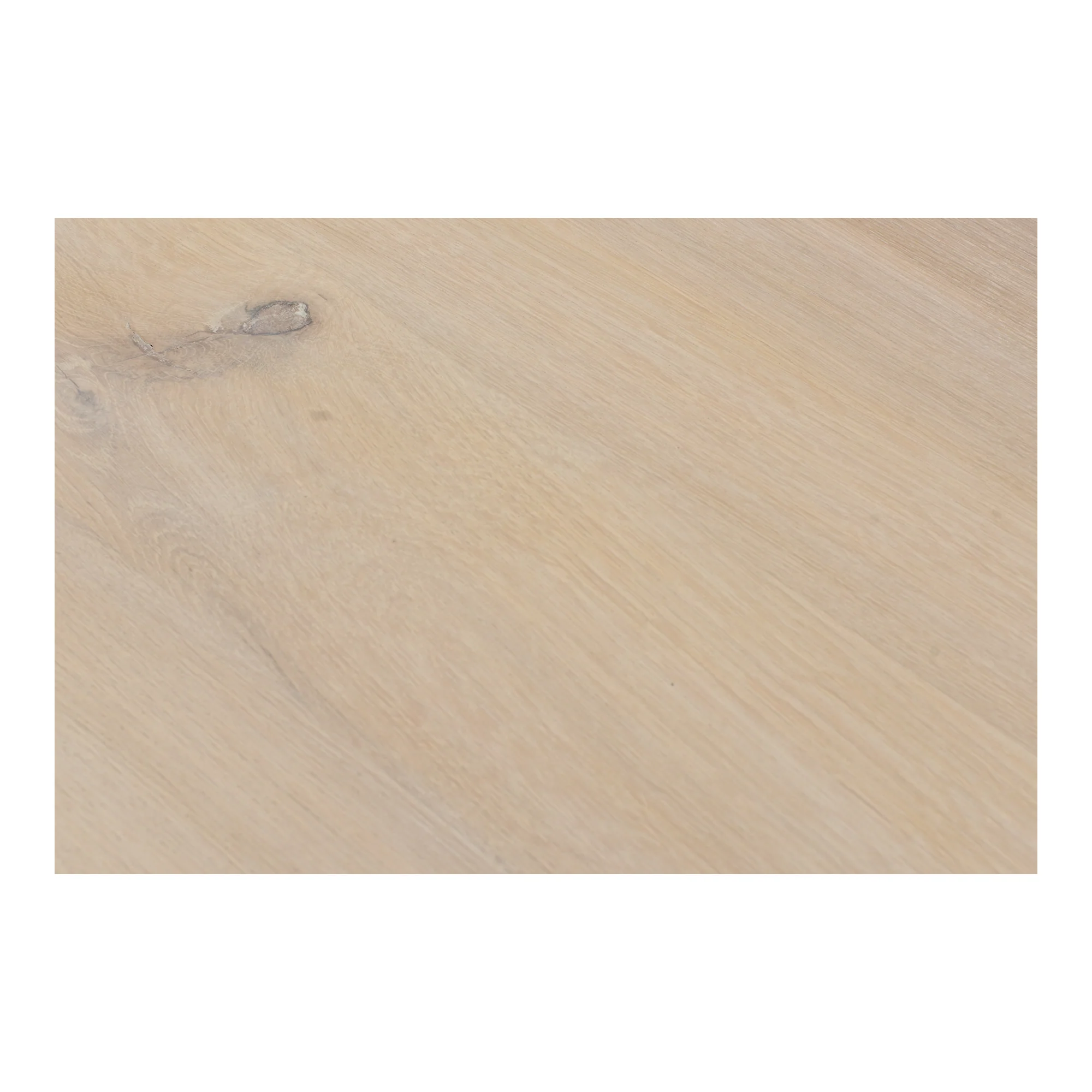 Bird Dining Table - Image 8