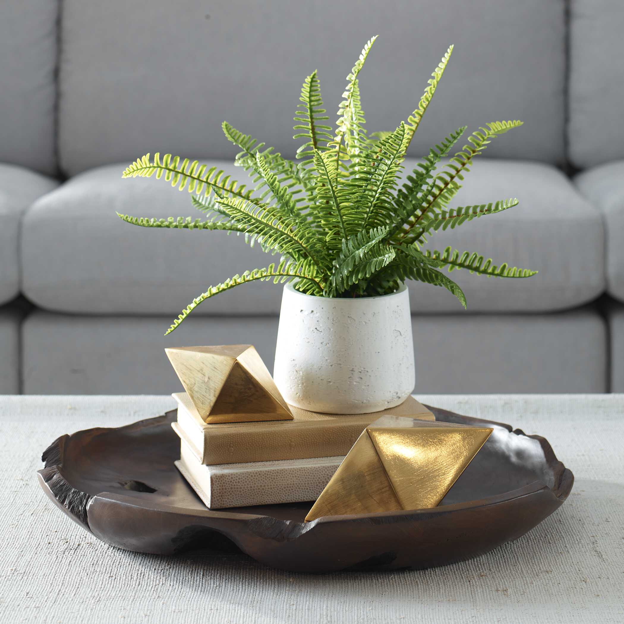Boston Fern In White Ceramic Pot - Image 2