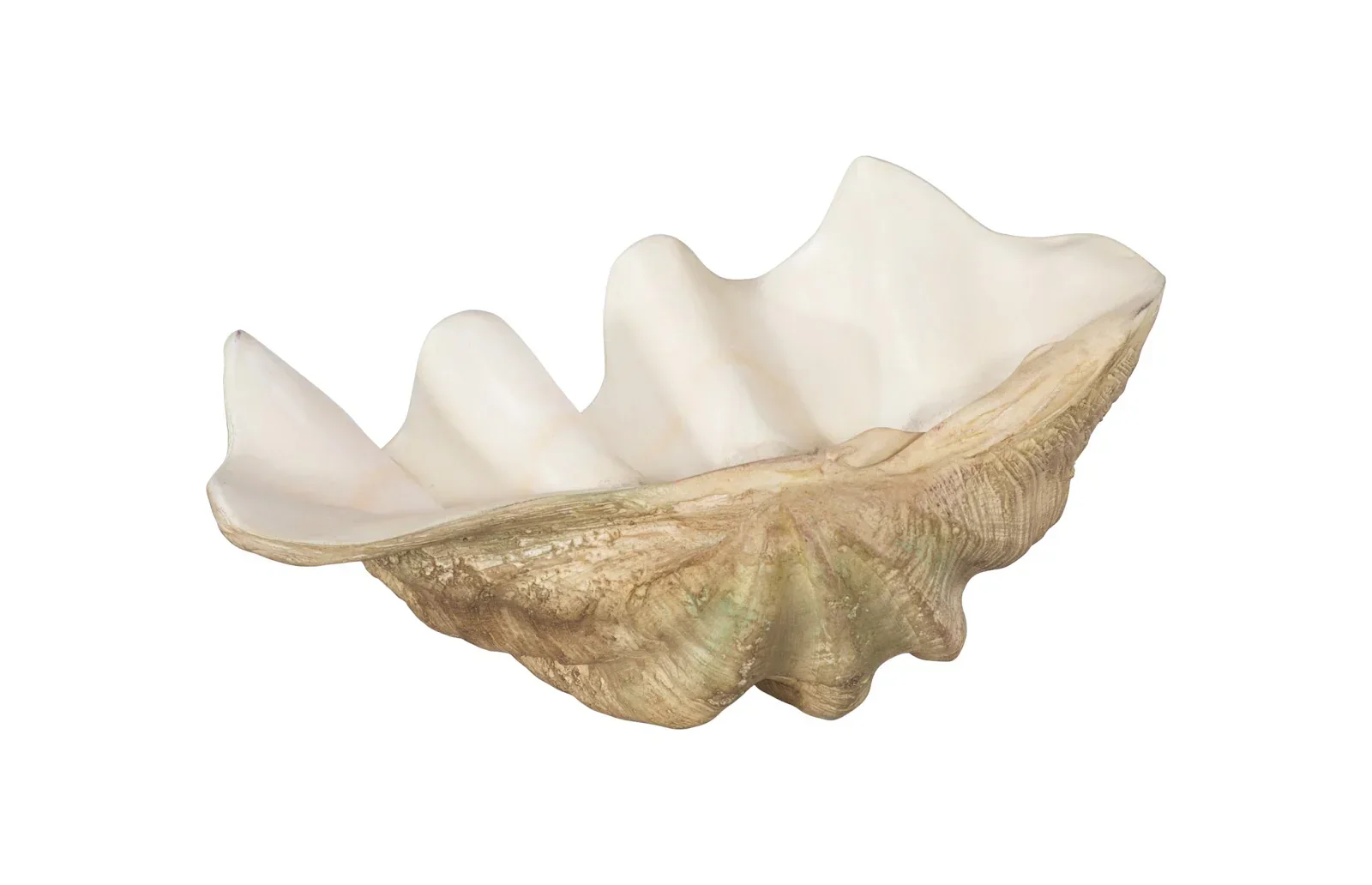 Cast Clam Shell Bowl - Image 5