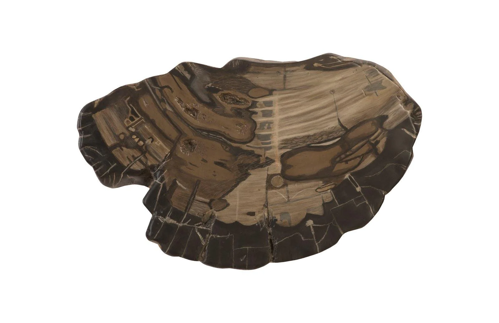 Cast Petrified Wood Wall Tile, Resin - Image 3