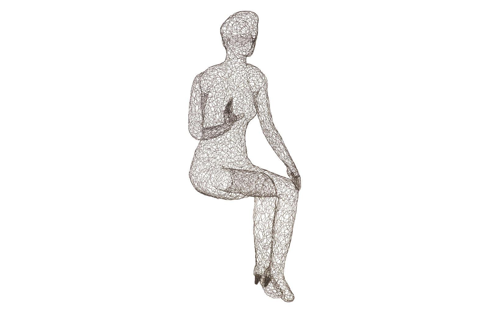 Crazy Wire Lounging Female - Image 2
