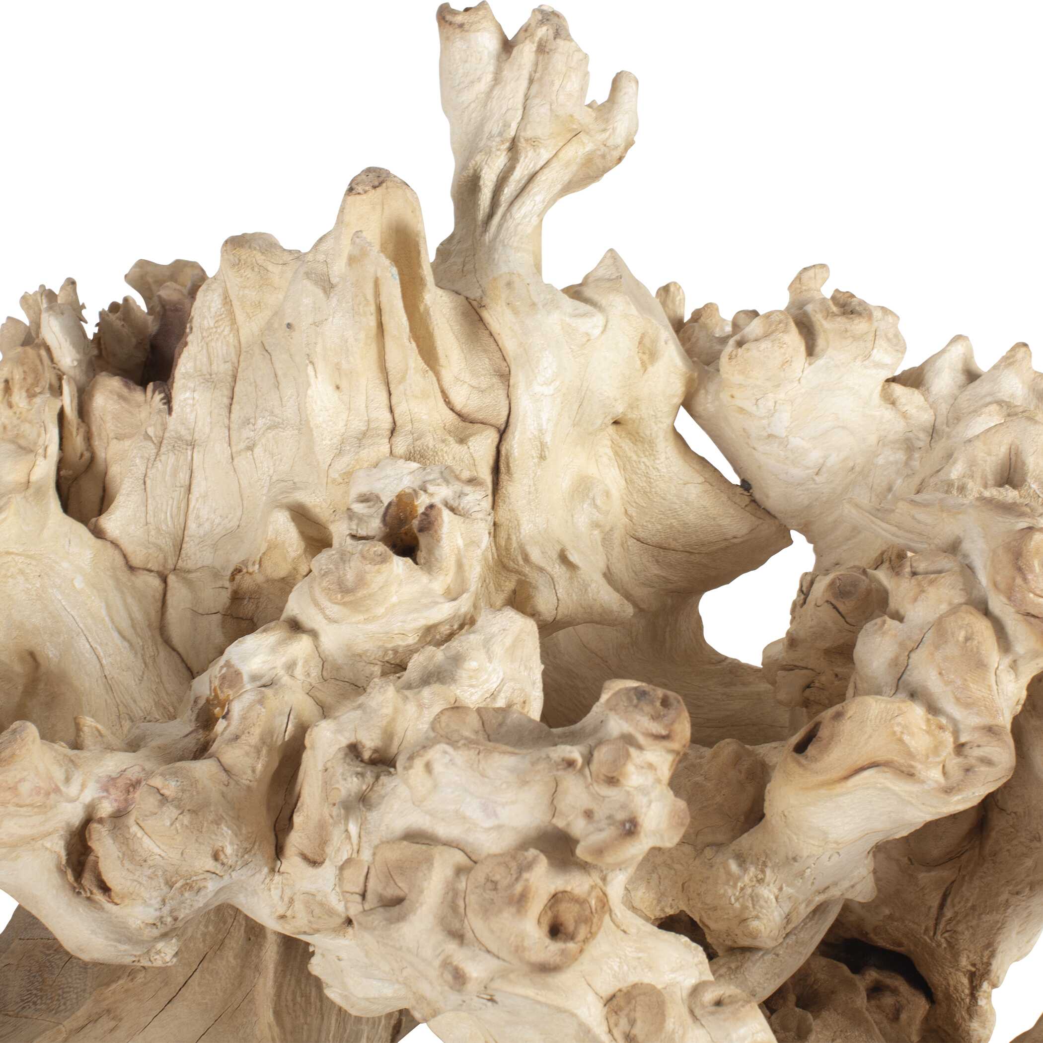 Elemental Root Outdoor Sculptures - Set of 2 - Image 4