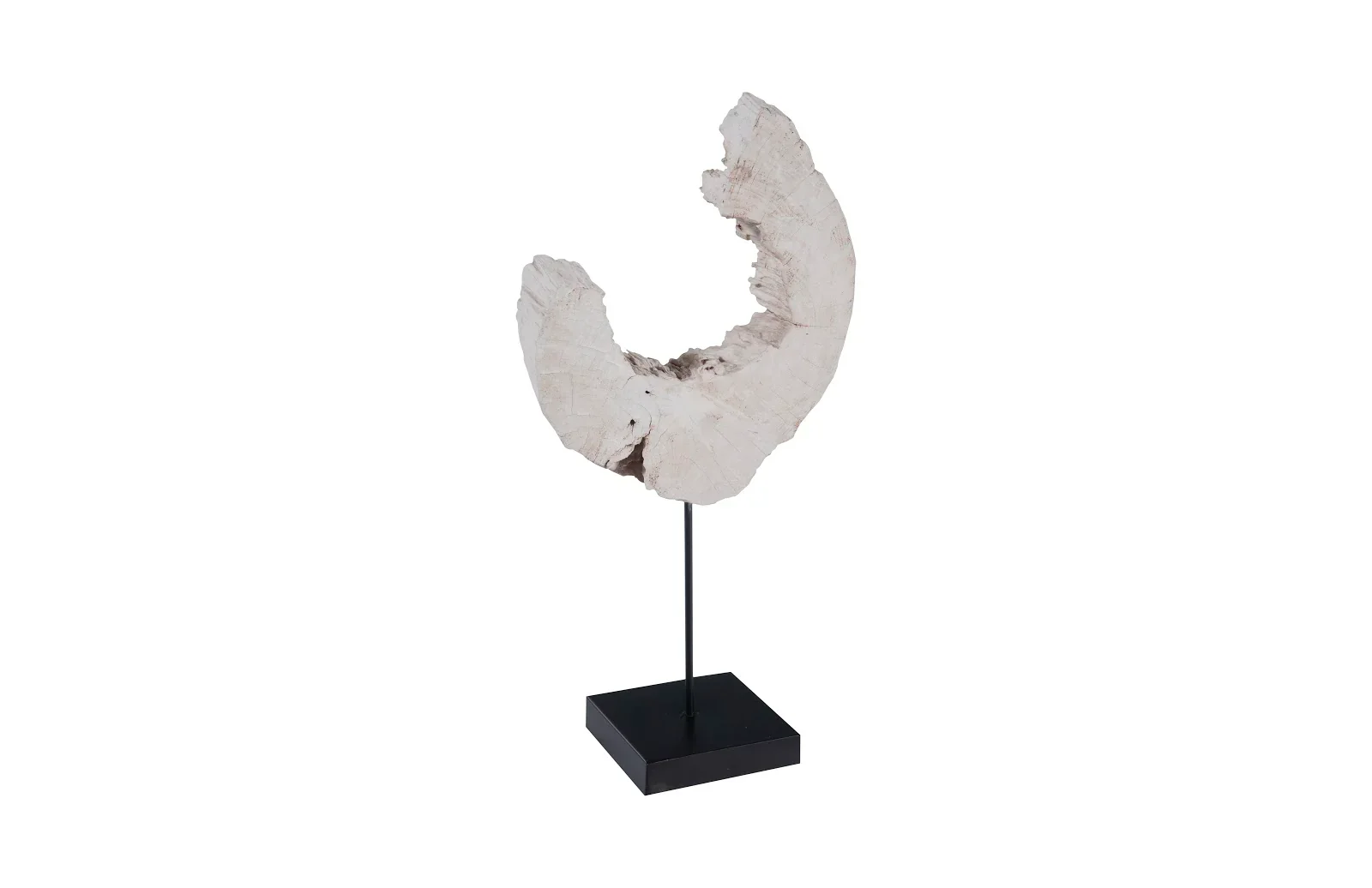 Eroded Wood C Sculpture on Stand - Image 2