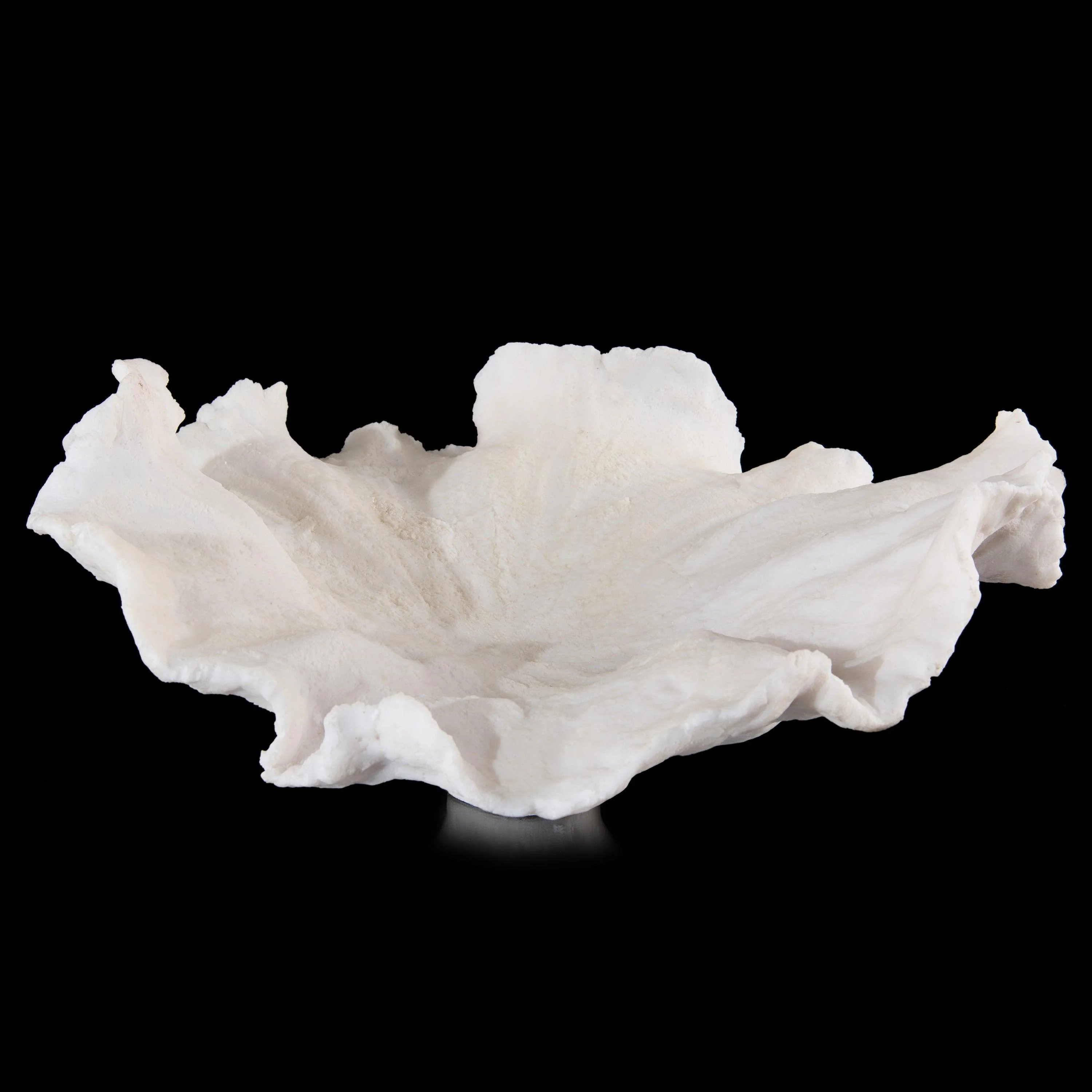 Floating Wave Bowl