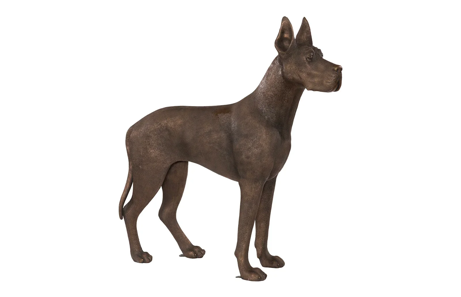 Great Dane