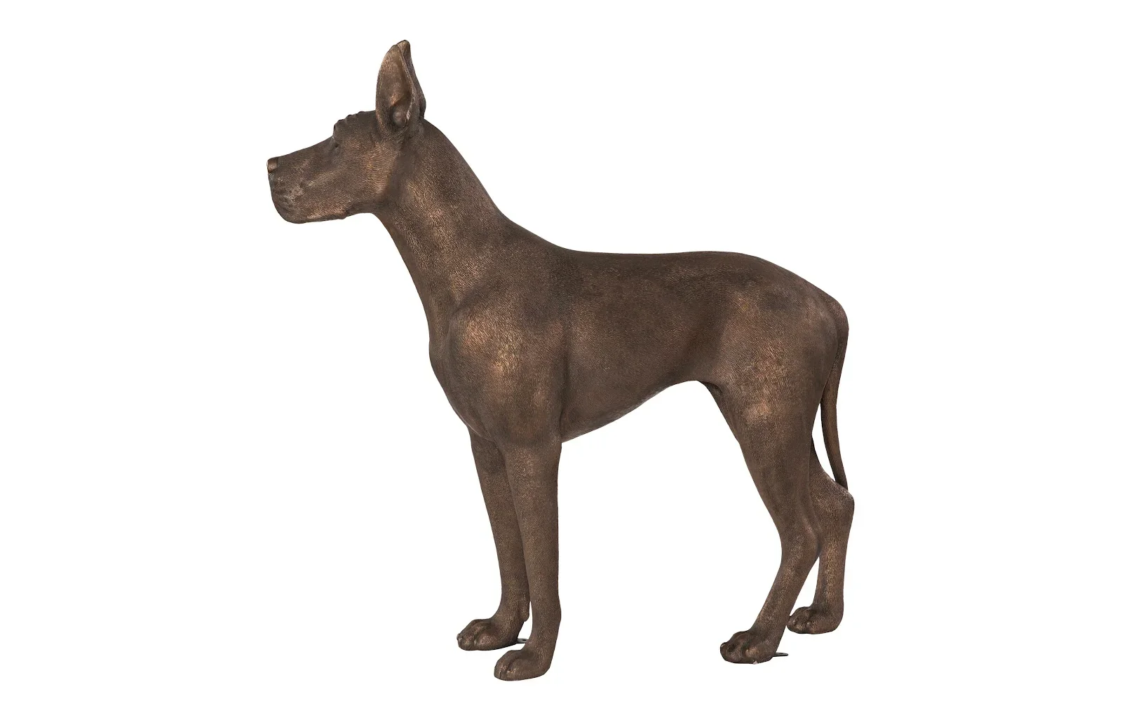 Great Dane - Image 2