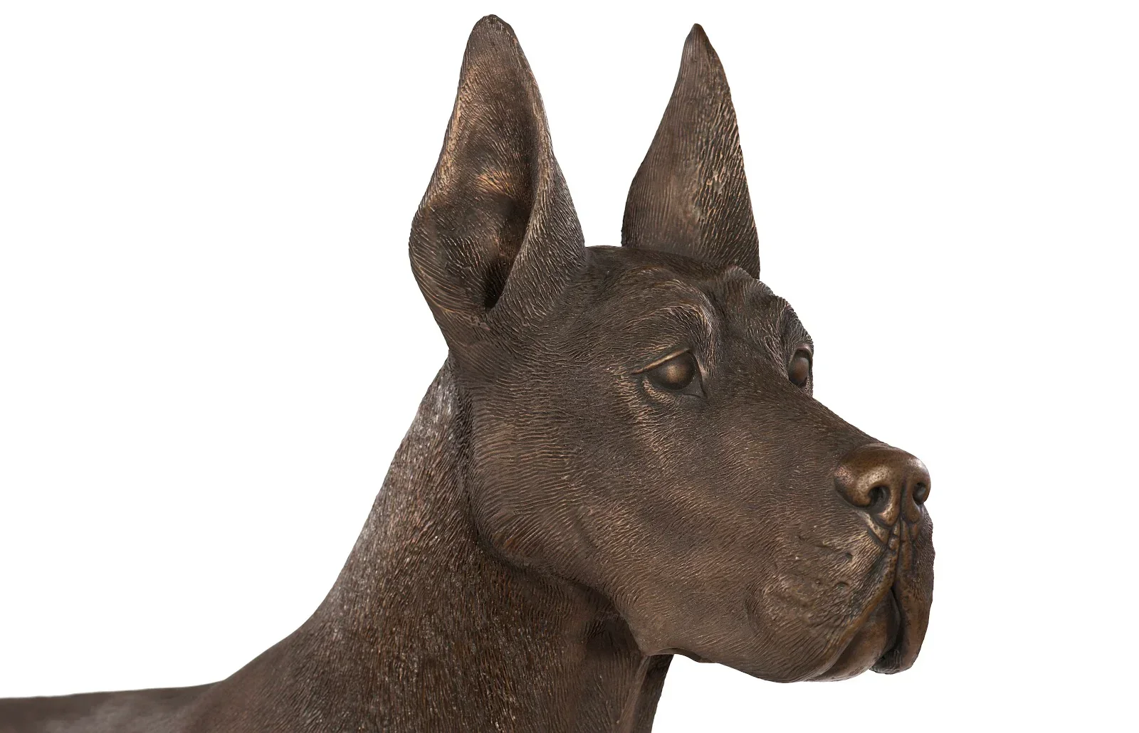 Great Dane - Image 3