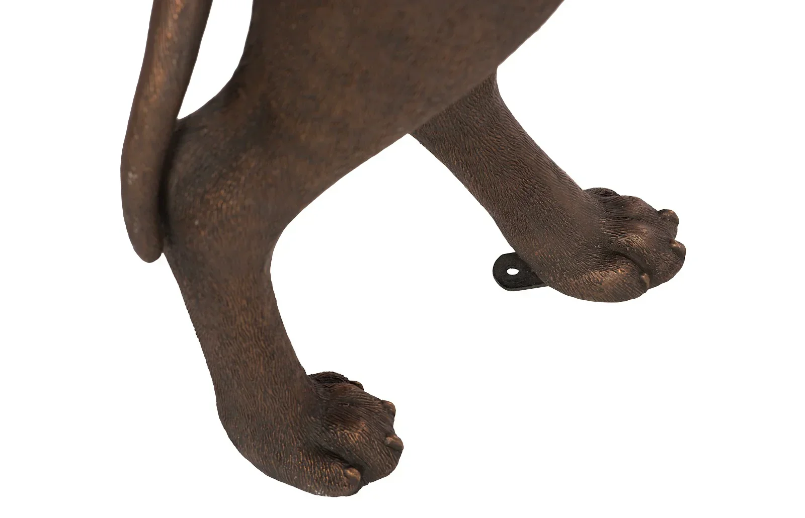 Great Dane - Image 4