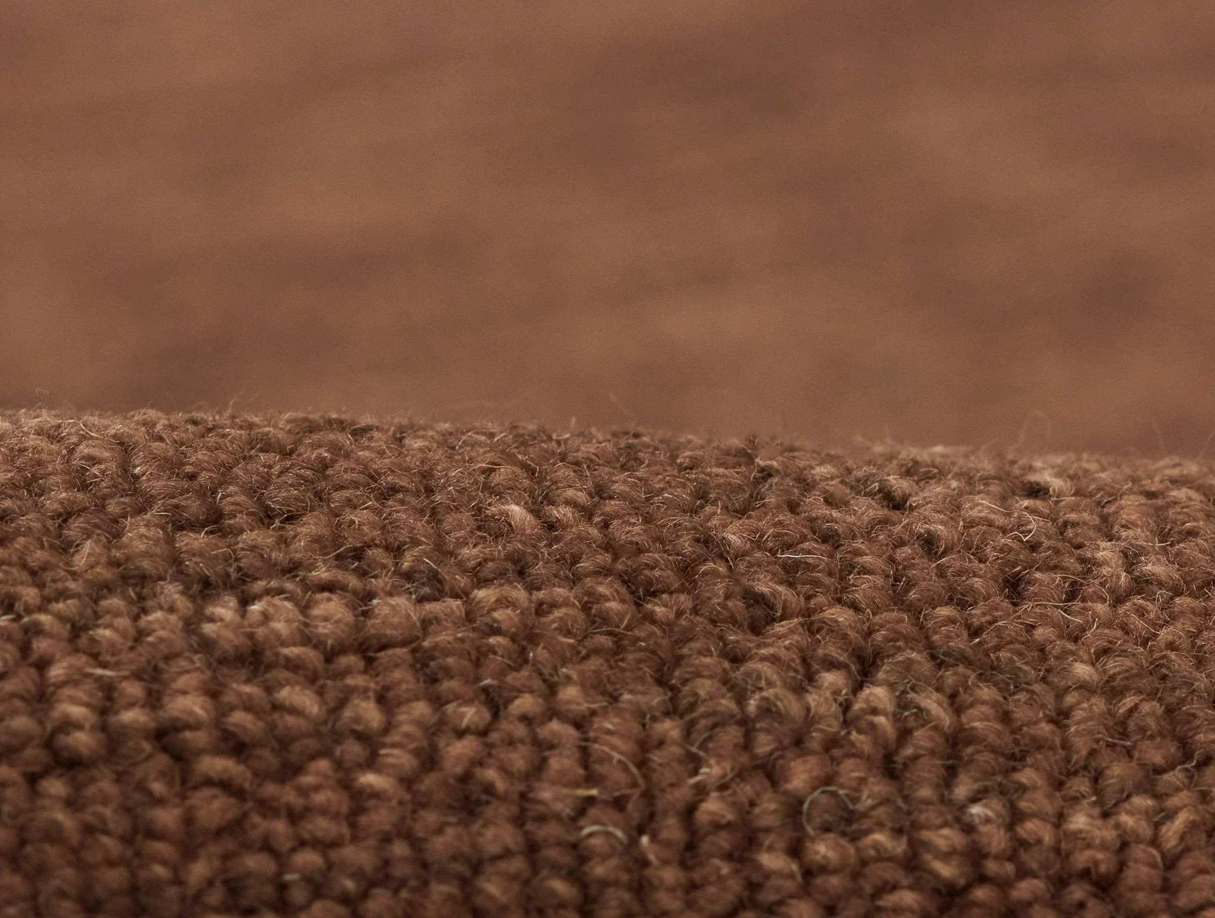 James 1 Rug - Image 3