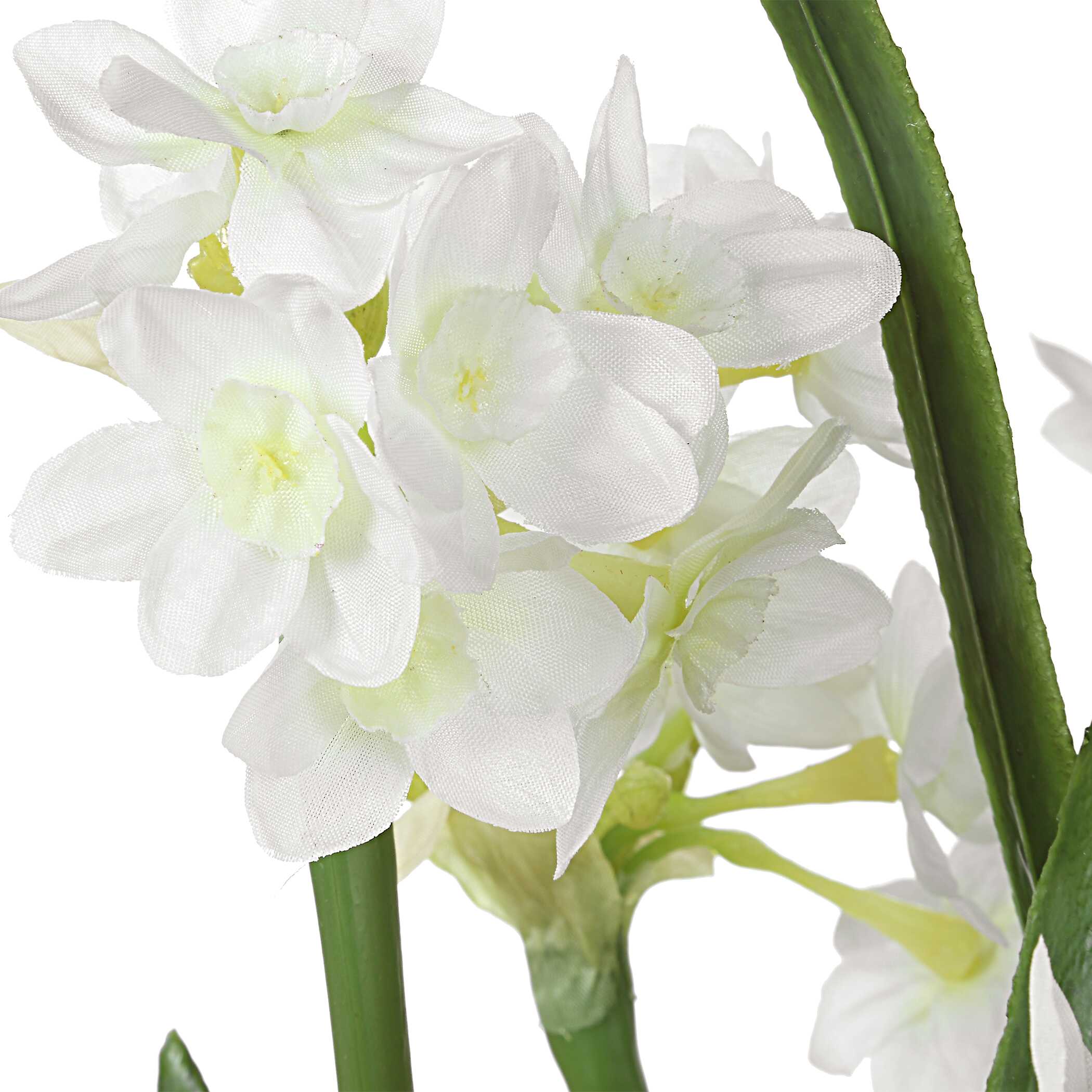 Lacey Daffodil Accent Arrangement - Image 3