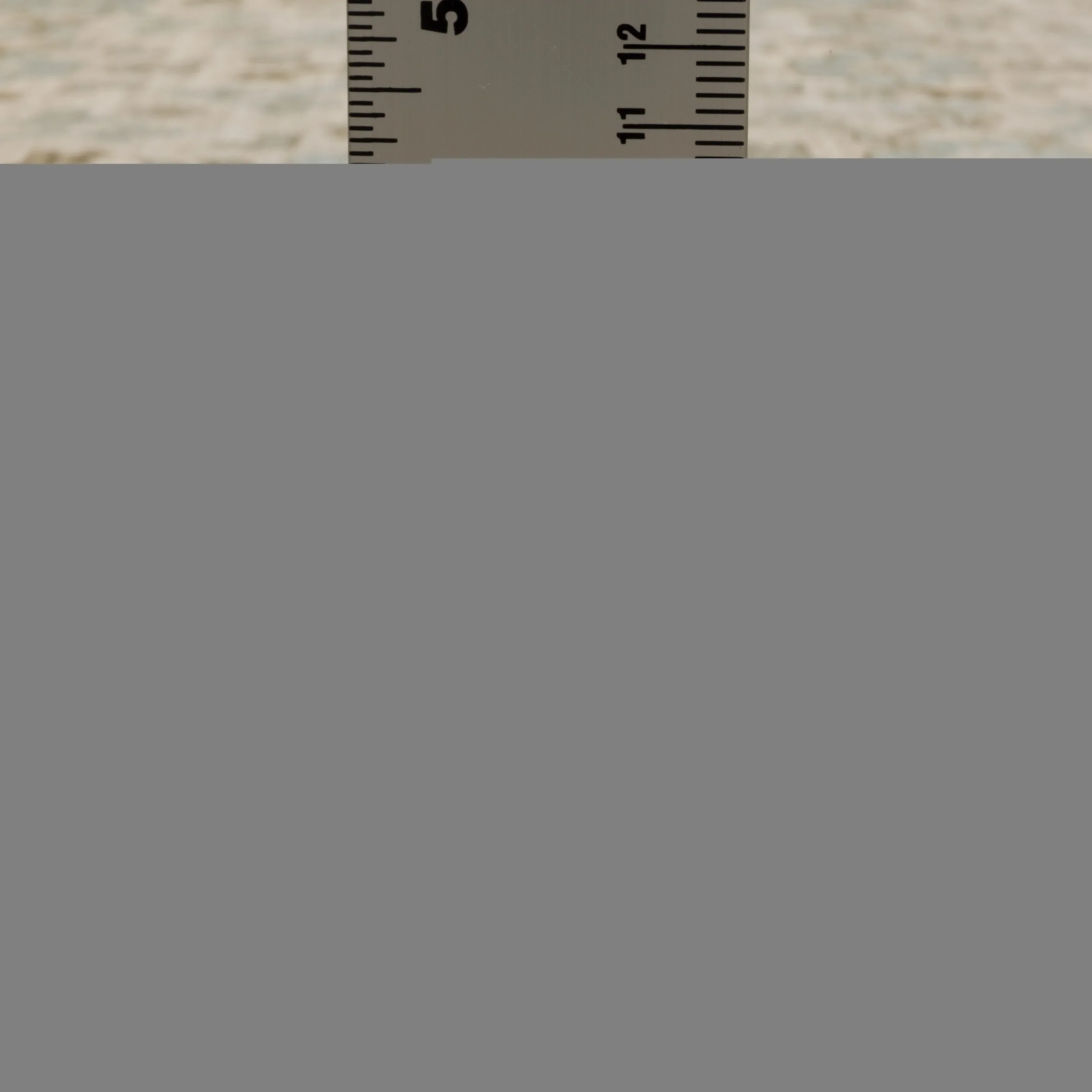 Maeve MAE0104 - Image 8
