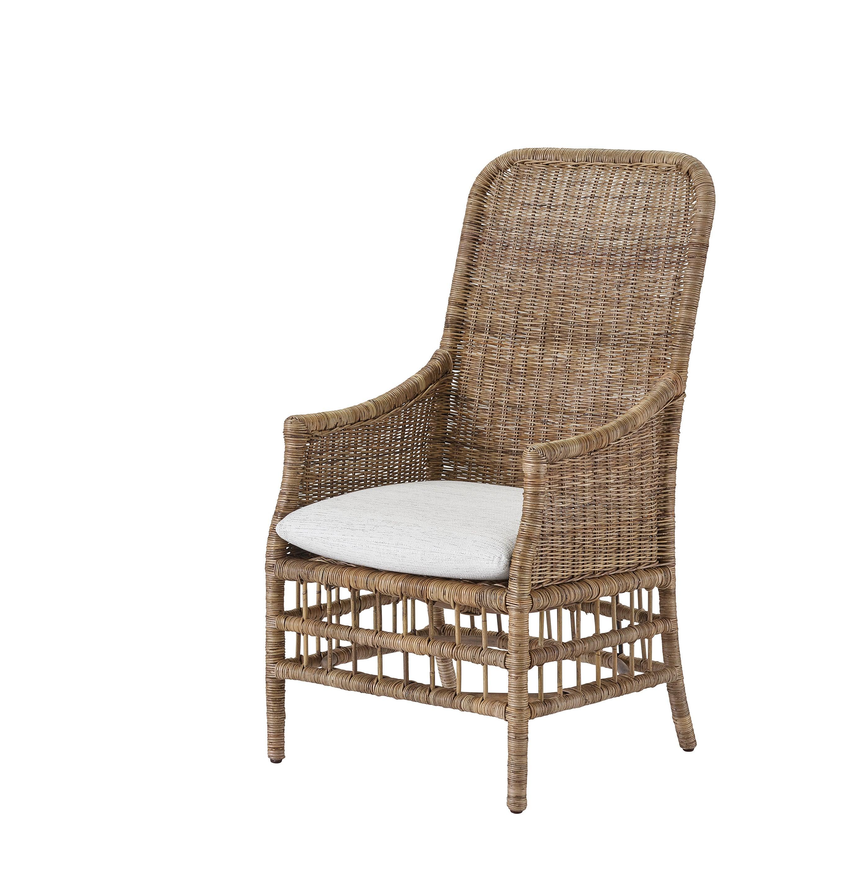 Modern Farmhouse Irving Arm Chair - Set of 2