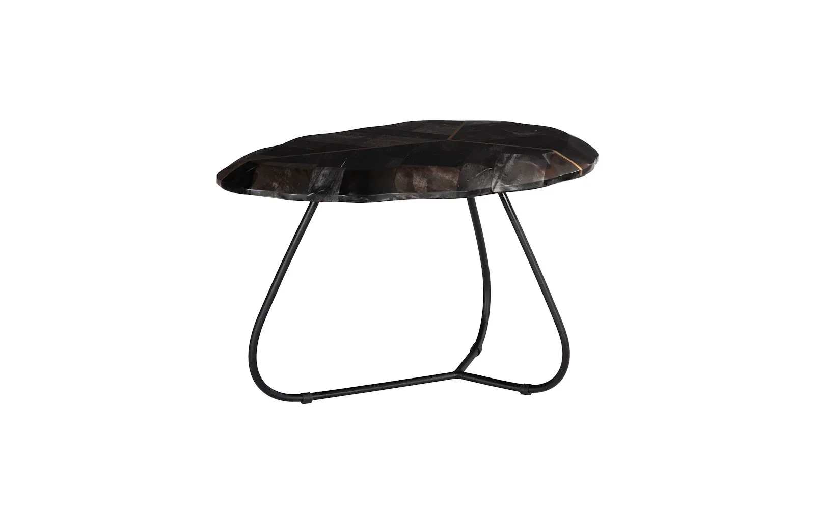 Mosaic Leaf Petrified Coffee Table