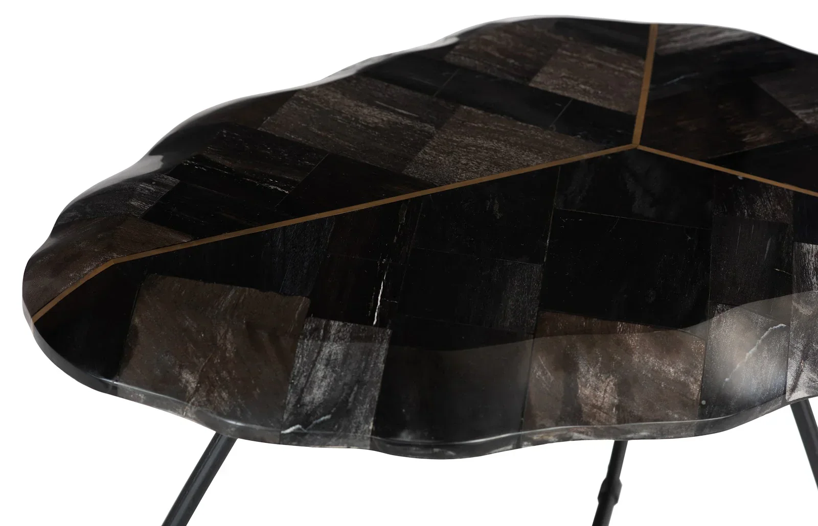 Mosaic Leaf Petrified Coffee Table - Image 3