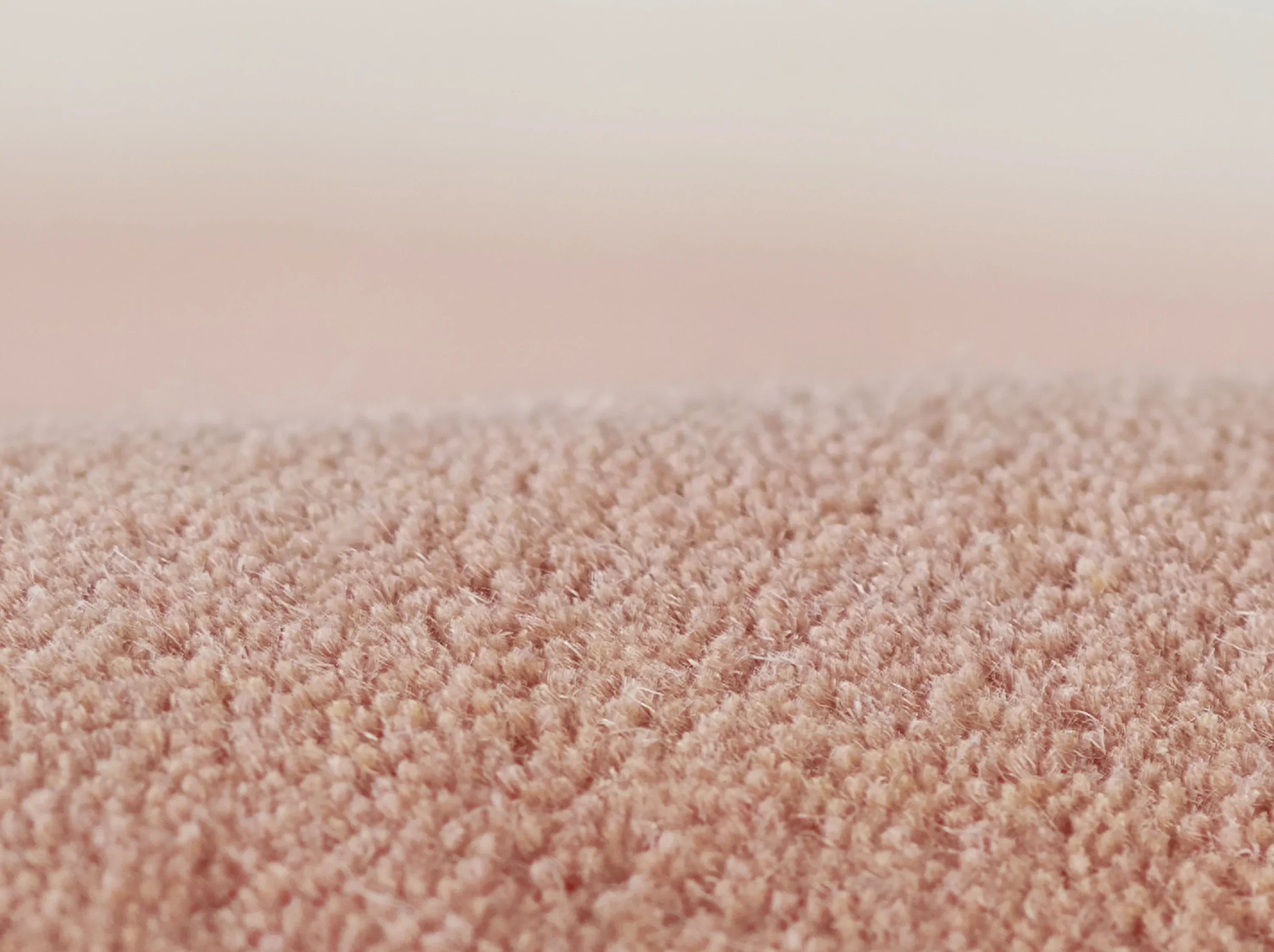 Tallulah 1 Rug - Image 61