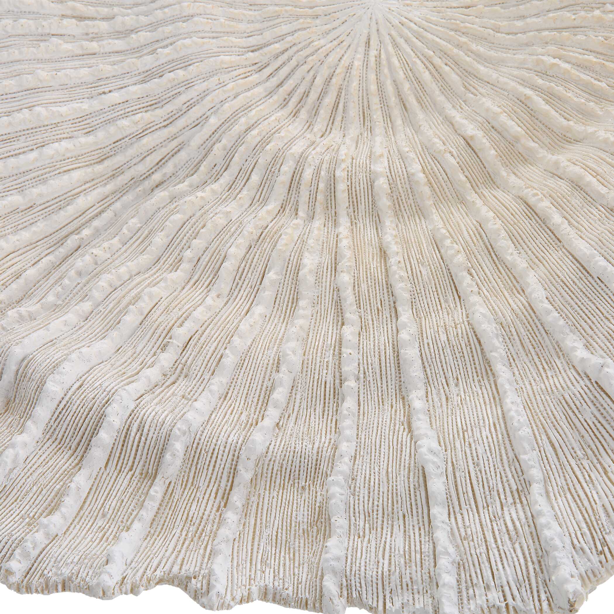 Ocean Gems Coral Wall Decor, Set/3 - Image 5
