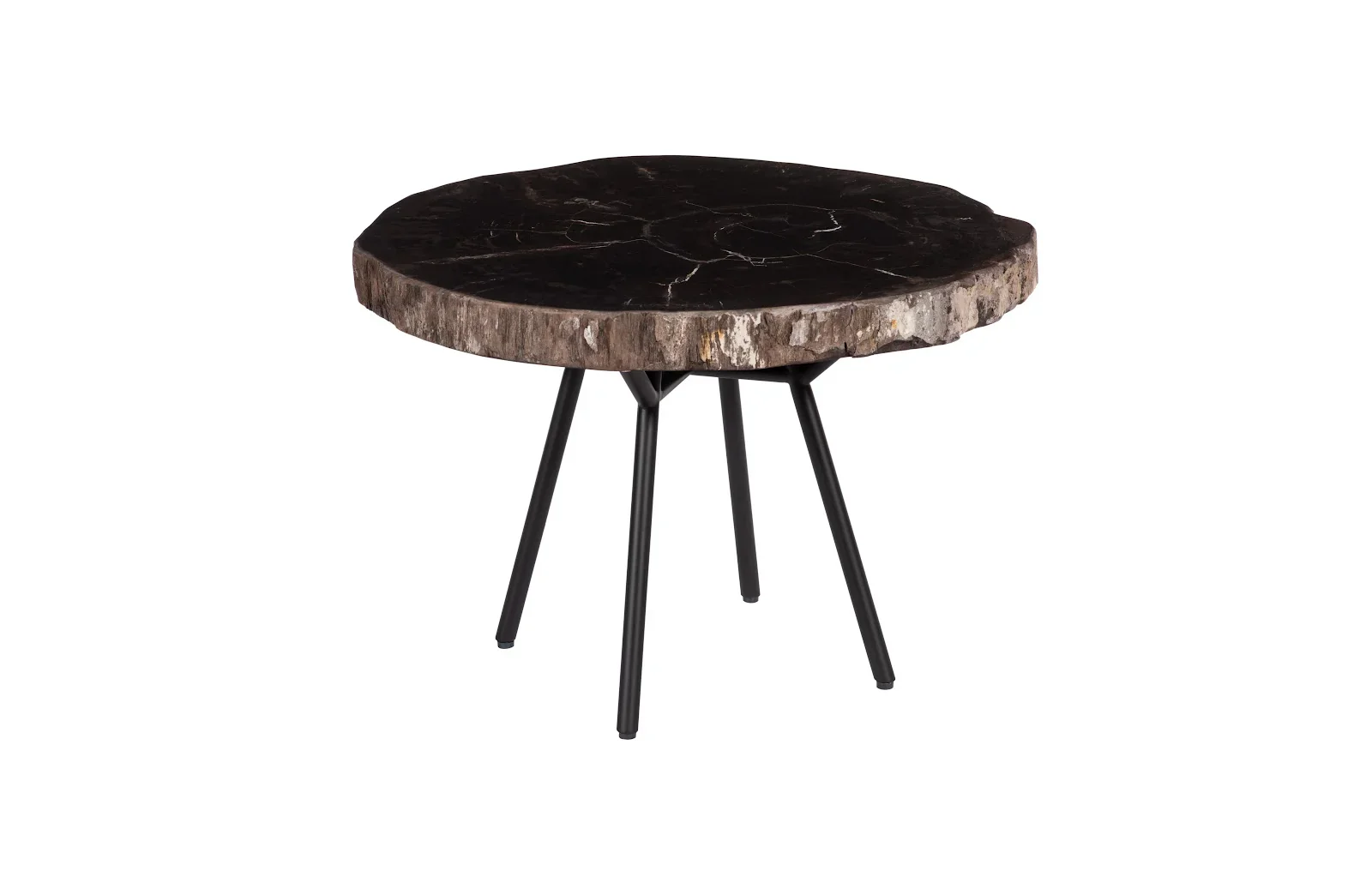 Petrified Coffee Table