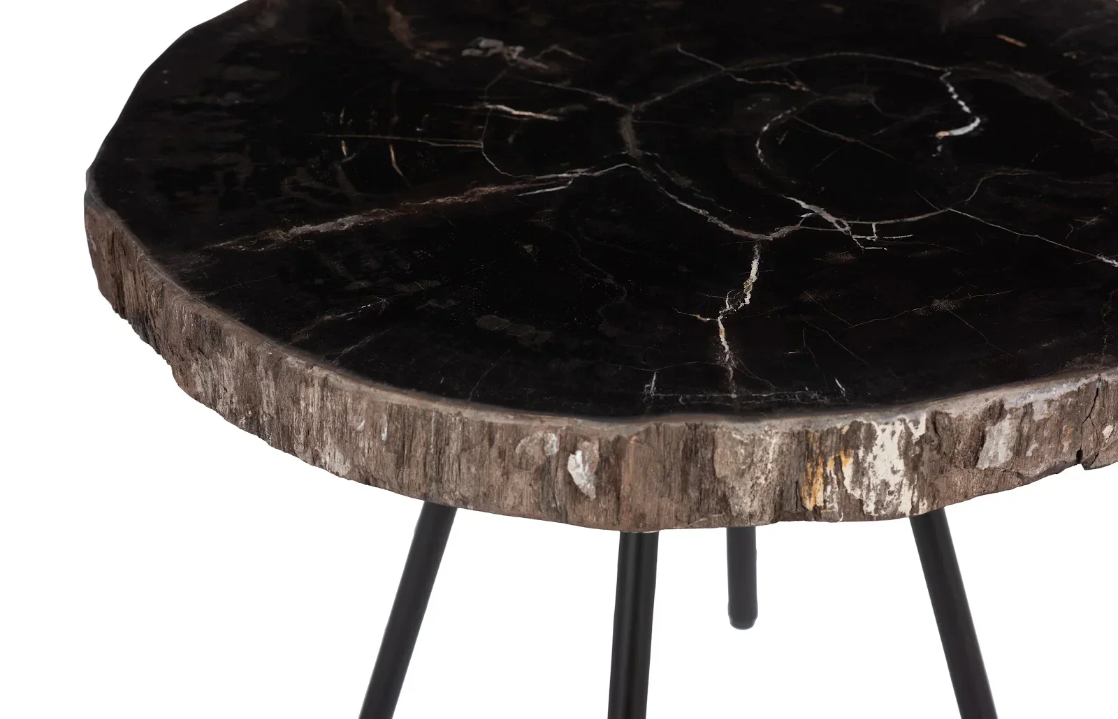 Petrified Coffee Table - Image 3
