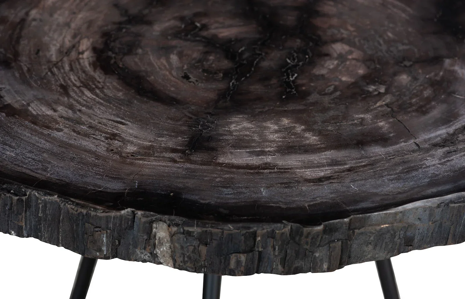 Petrified Coffee Table - Image 6