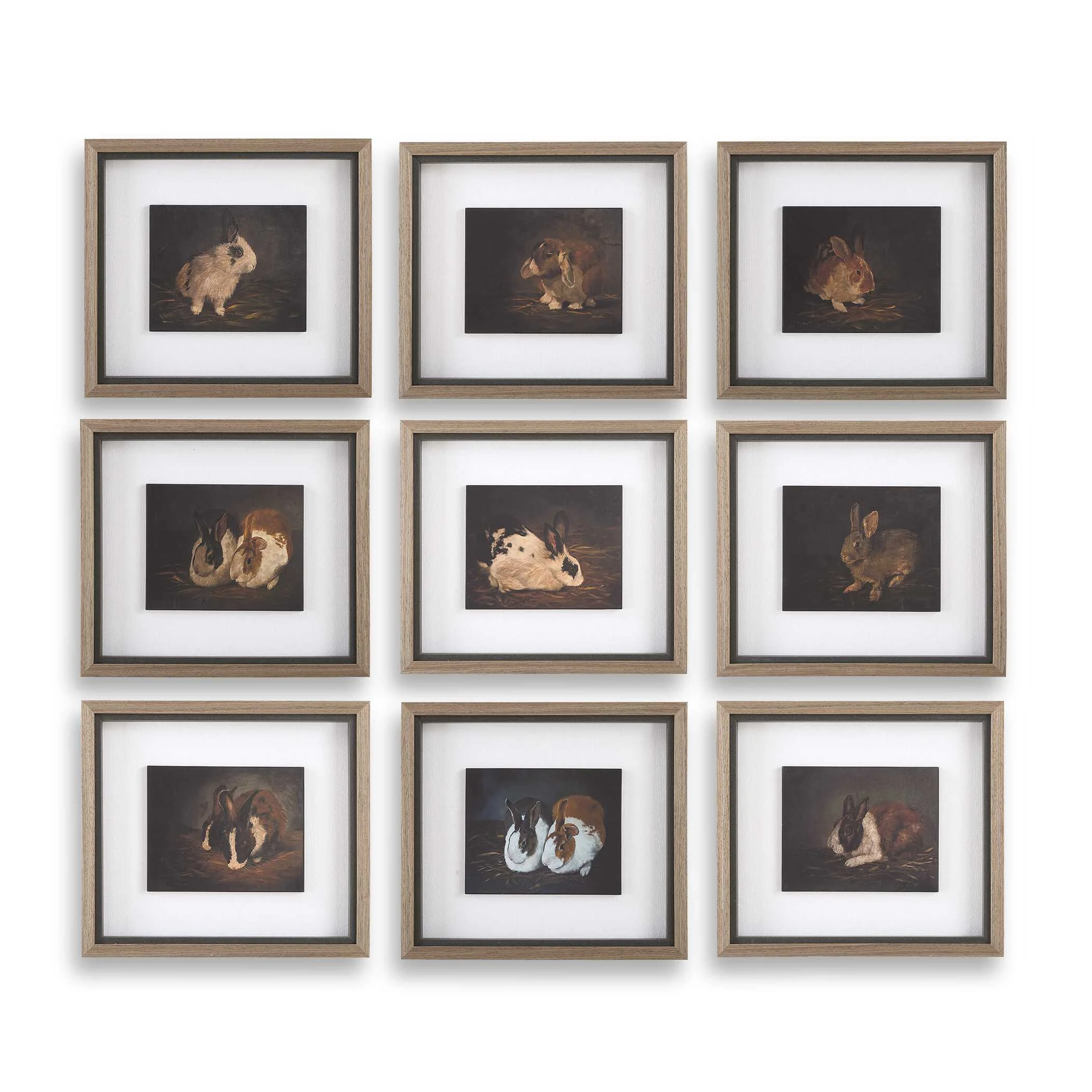 Resting Bunny Framed Prints - Set of 9