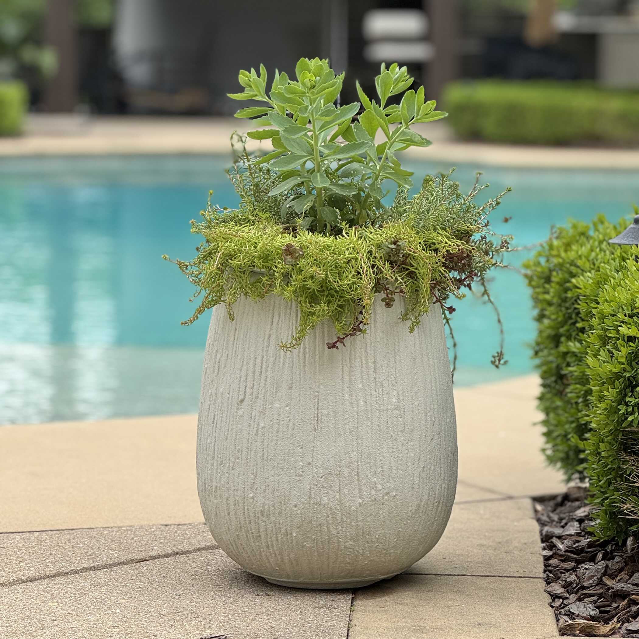 Rustic Ridge Off-White Outdoor Planter - Image 2
