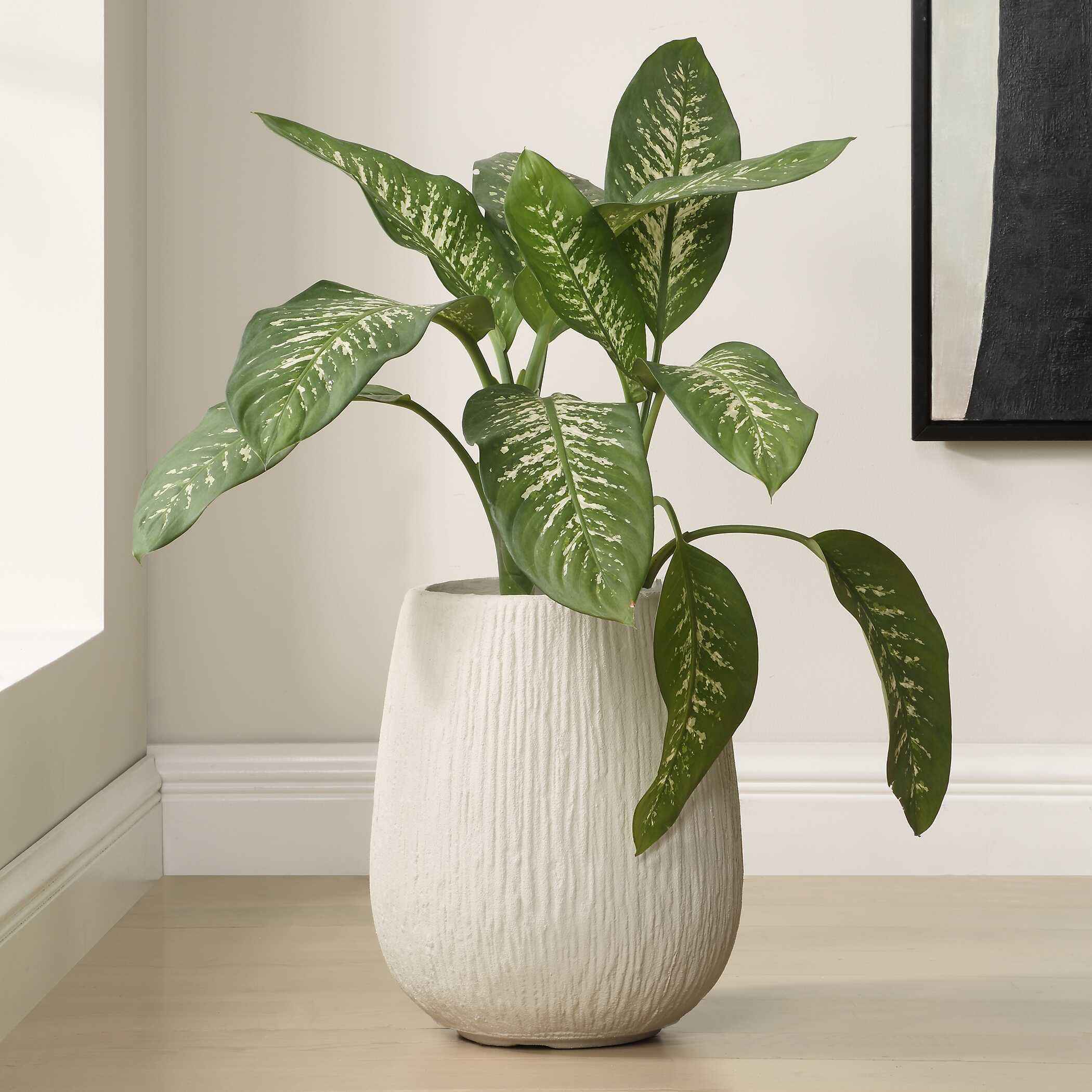 Rustic Ridge Off-White Outdoor Planter - Image 5