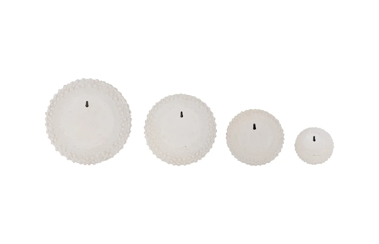 Sea Urchin Wall Art - Image 4