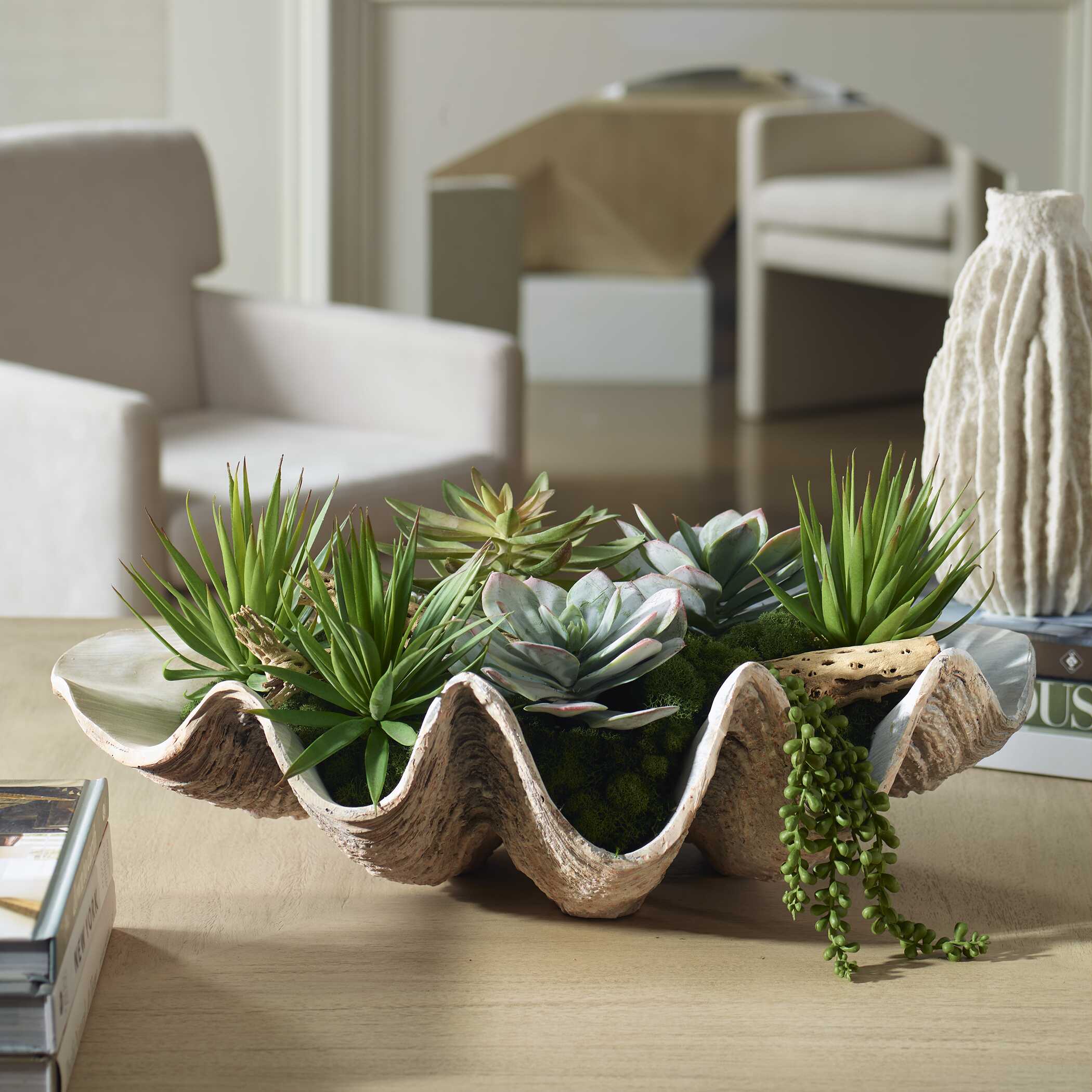 Seaside Breeze Succulents - Image 2