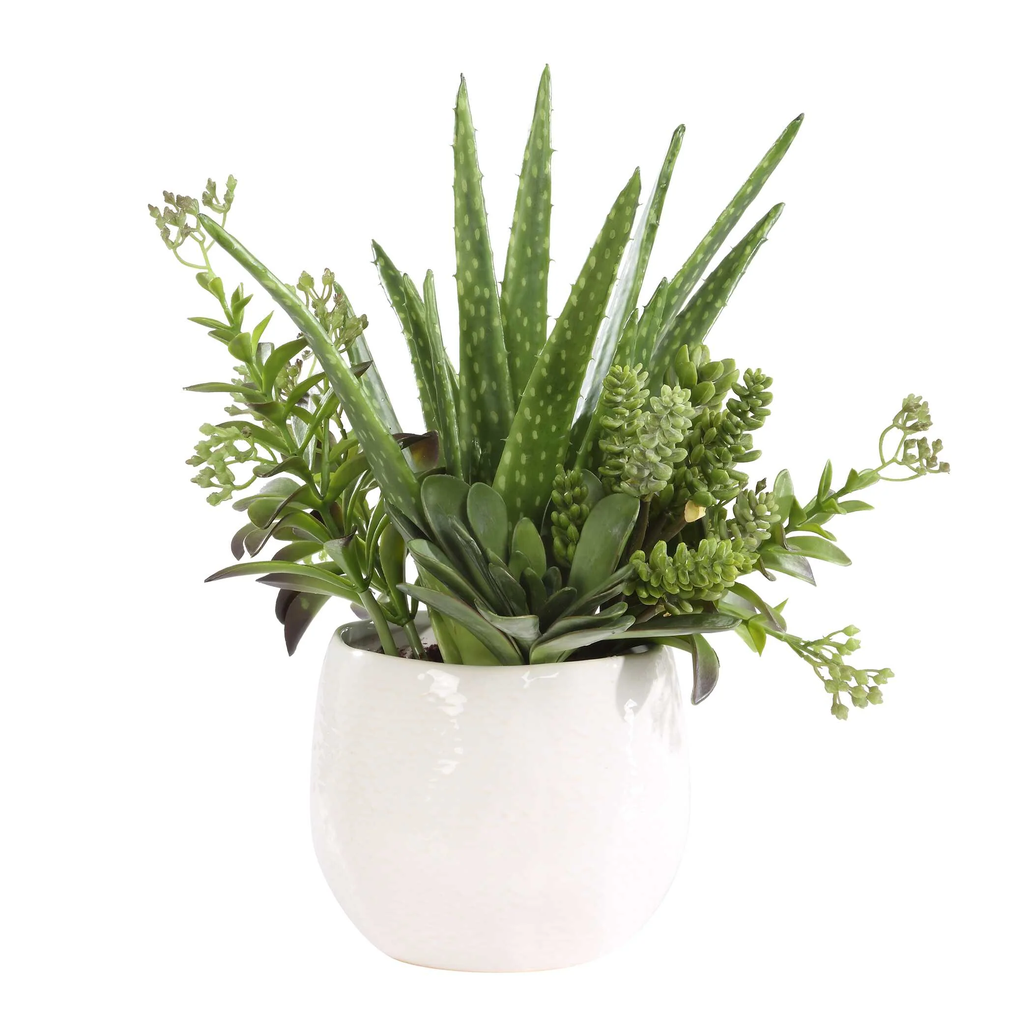 Sundown Succulent Accent Planter - Image 3