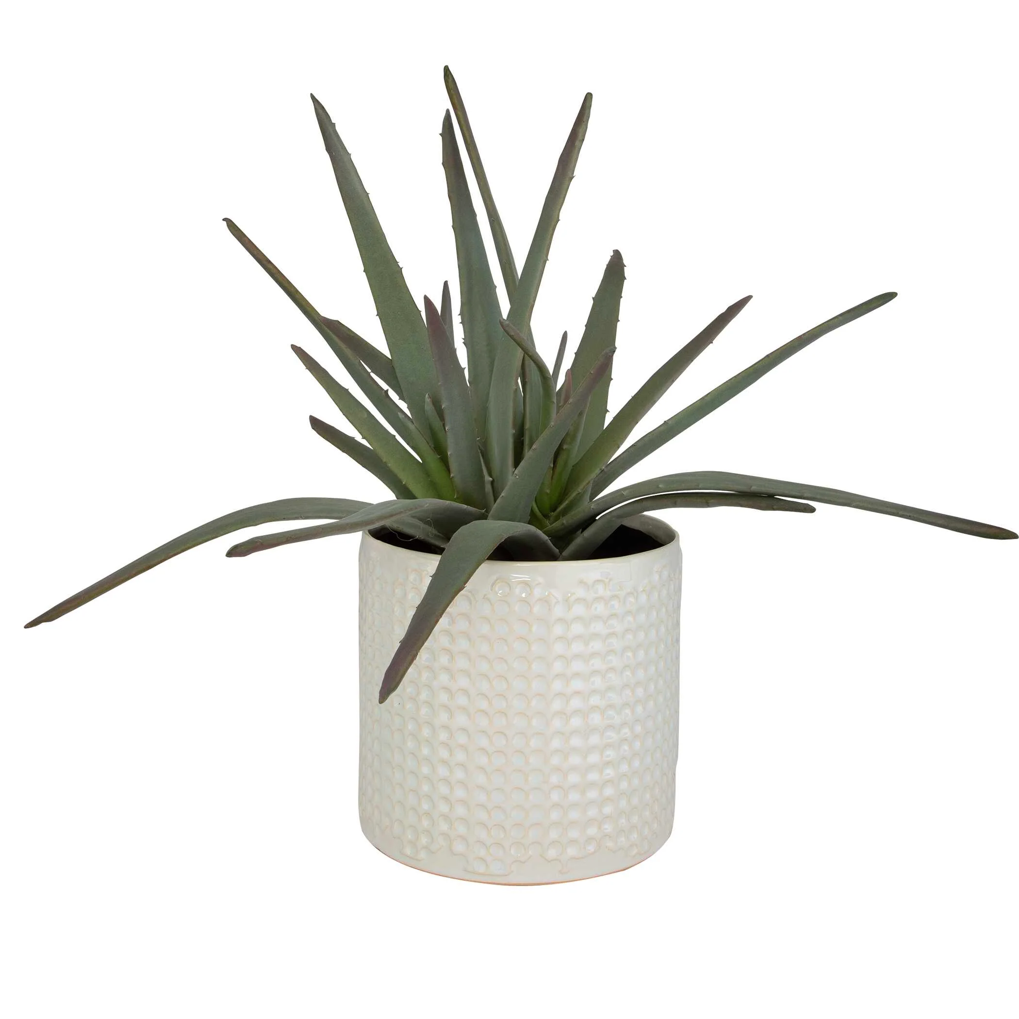 Taos Aloe Centerpiece - Image 3
