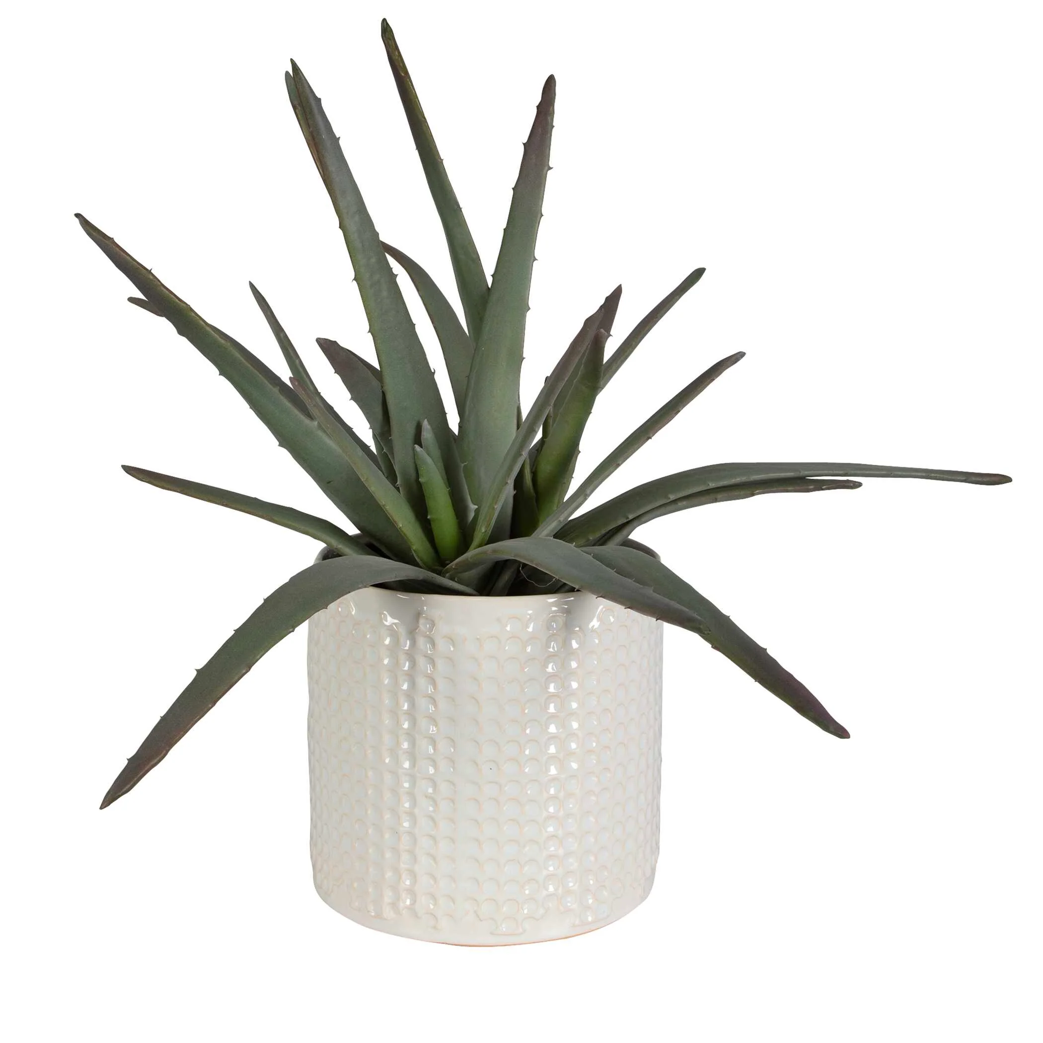 Taos Aloe Centerpiece - Image 4