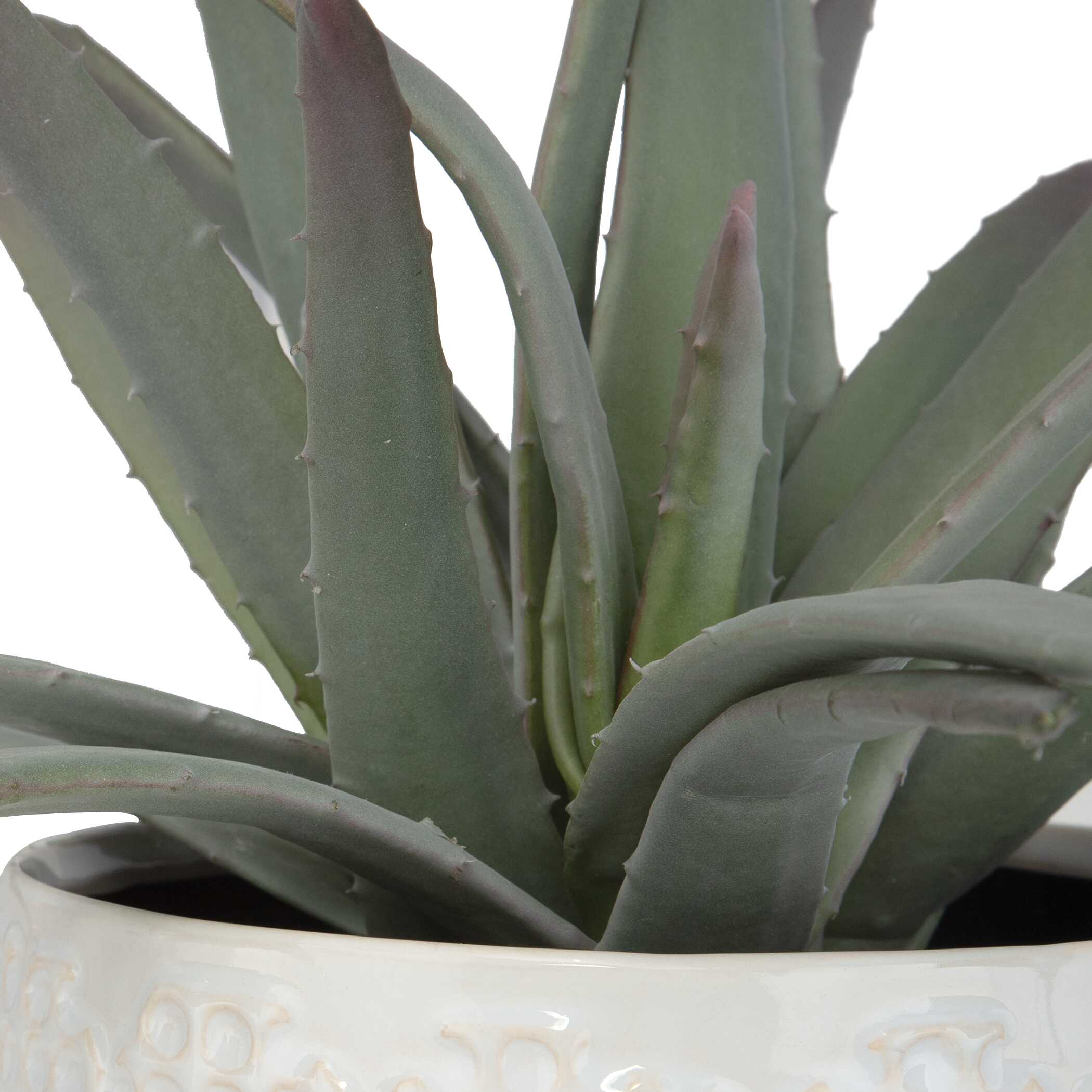 Taos Aloe Centerpiece - Image 6