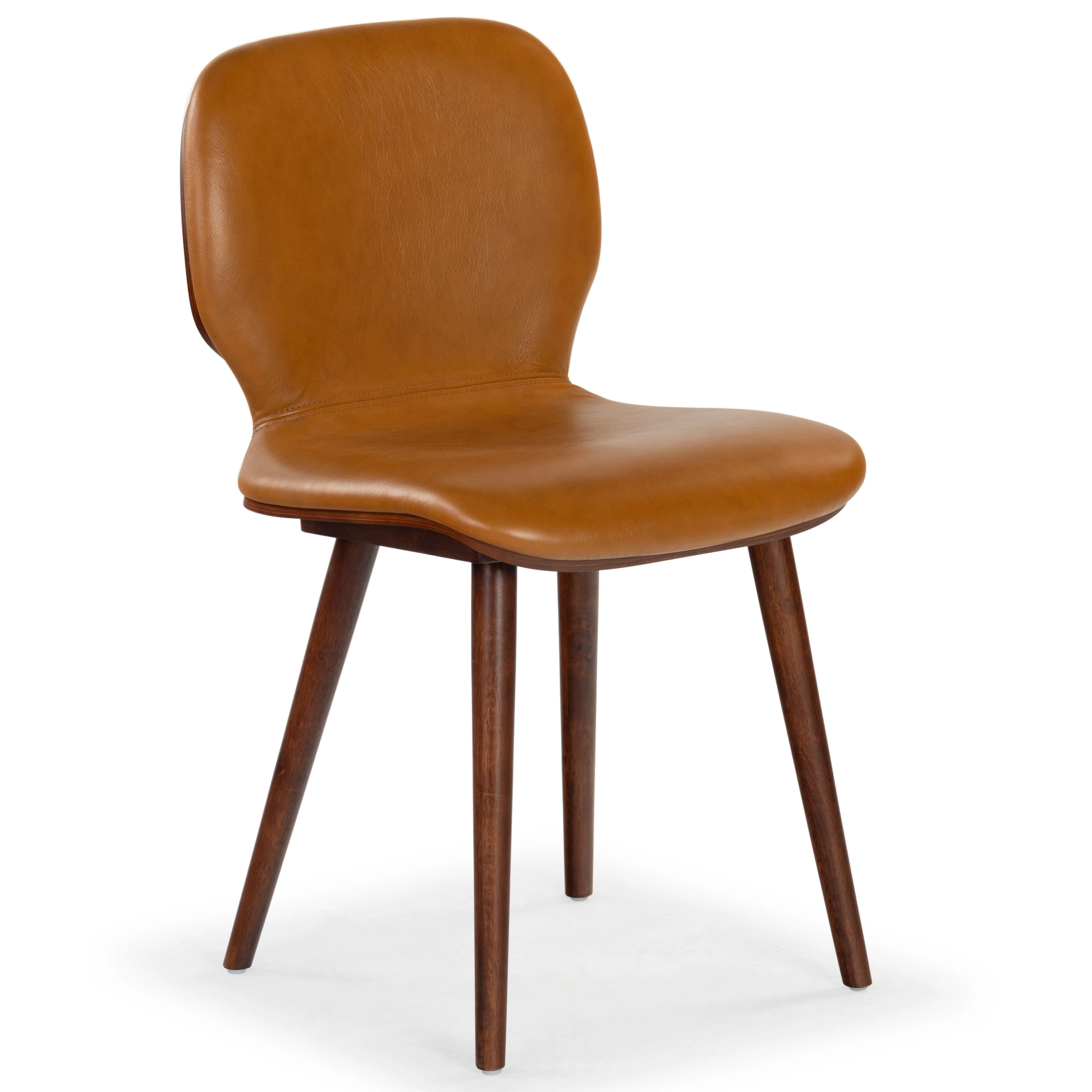 Tazmyn Leather Dining Chair - Image 15
