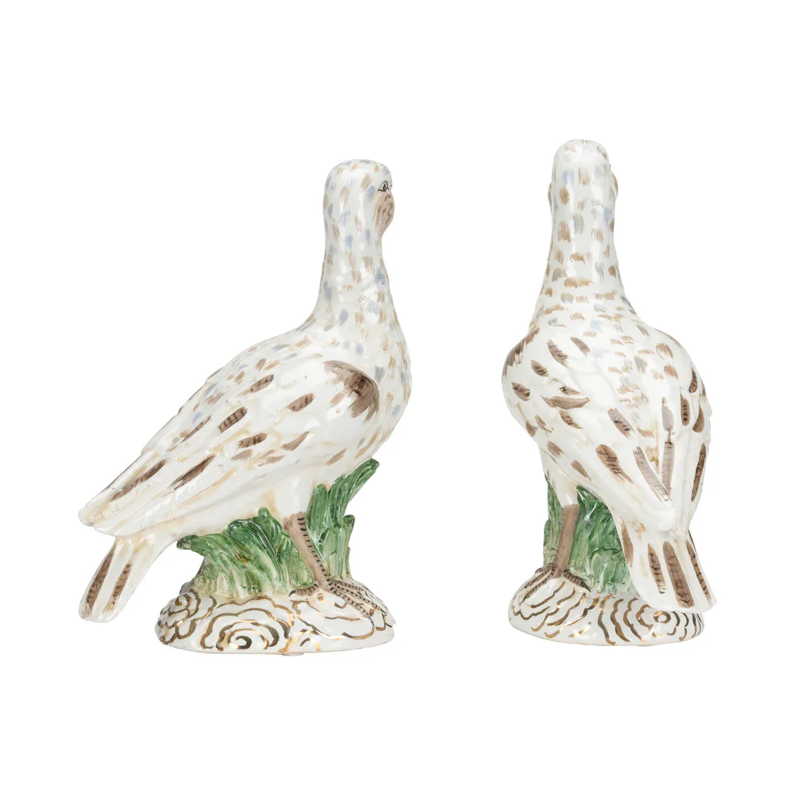 Terns (Pr) - Image 5