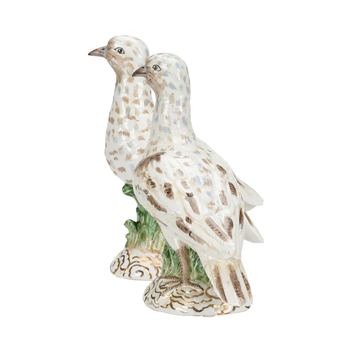 Terns (Pr) - Image 6