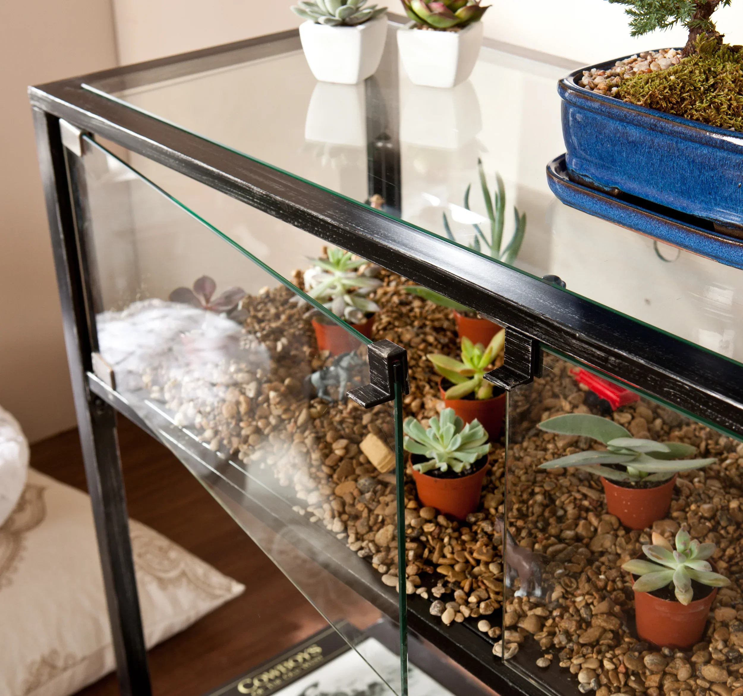 Terrarium Display Console - Image 3