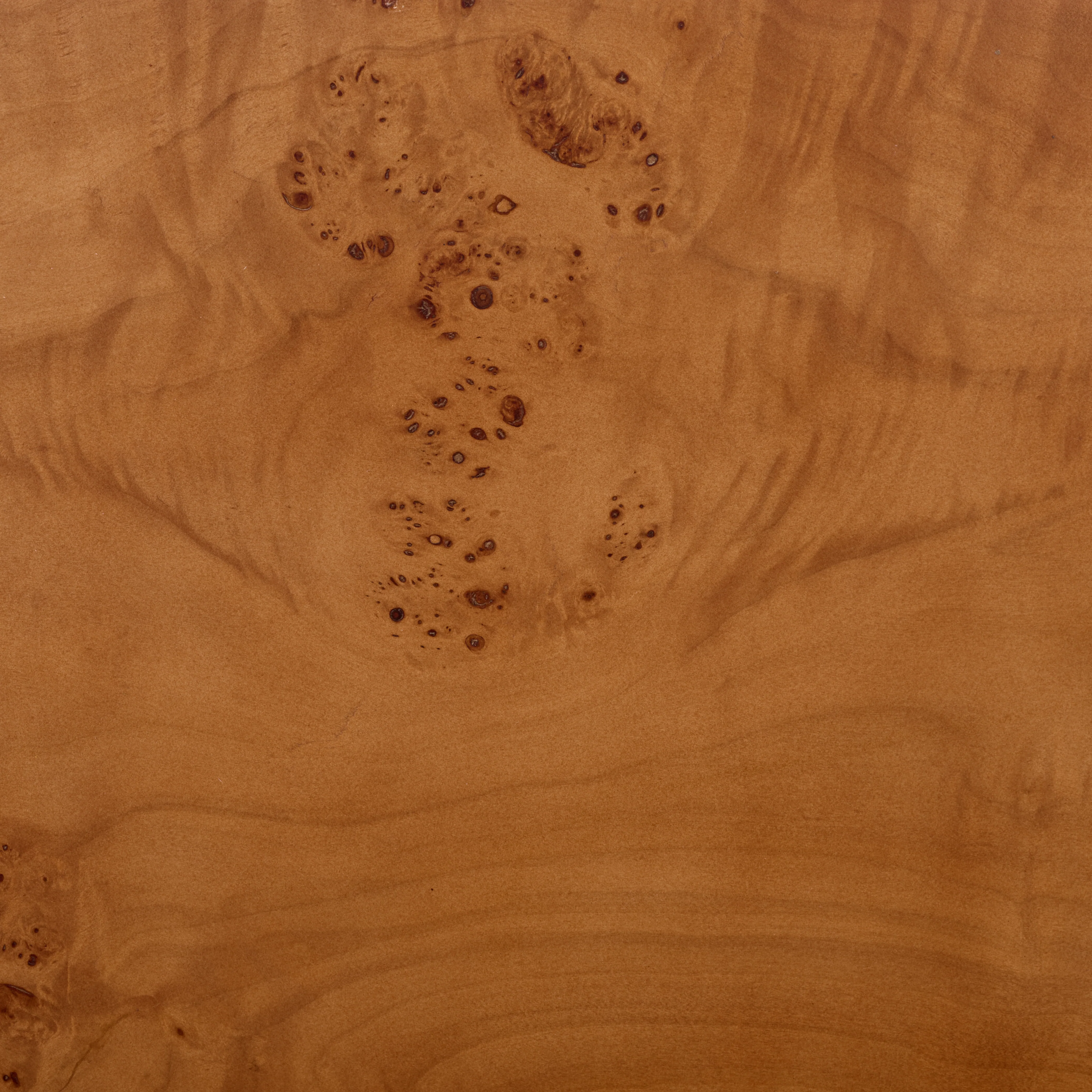 Tessly Burl Veneer Console Table - Image 4