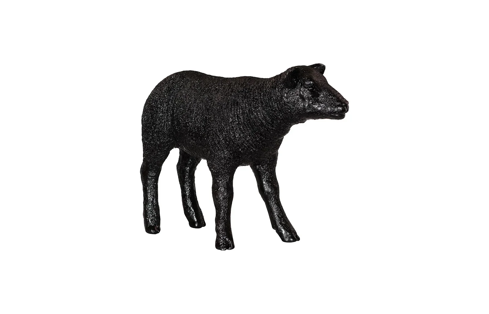 Texelaar Sheep