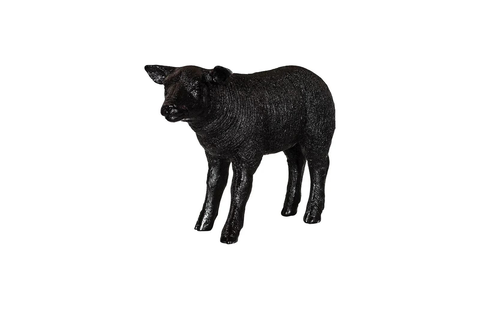 Texelaar Sheep - Image 2