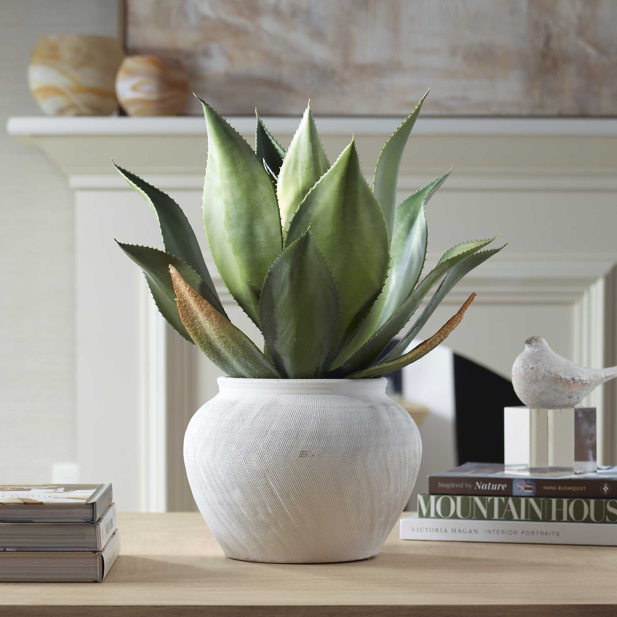 Tierra Agave Centerpiece With Vase - Image 2