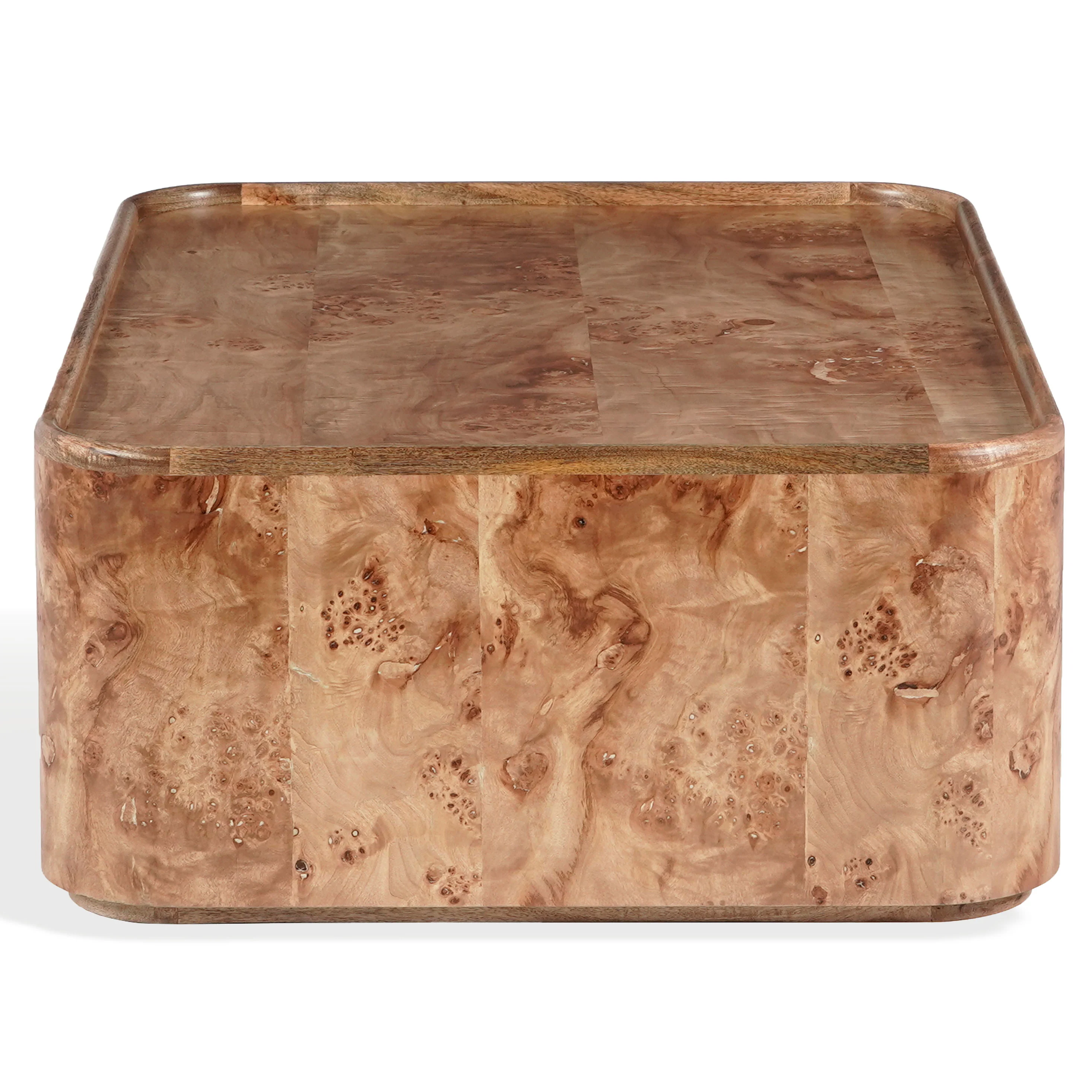 Torryn Burl Coffee Table - Image 3