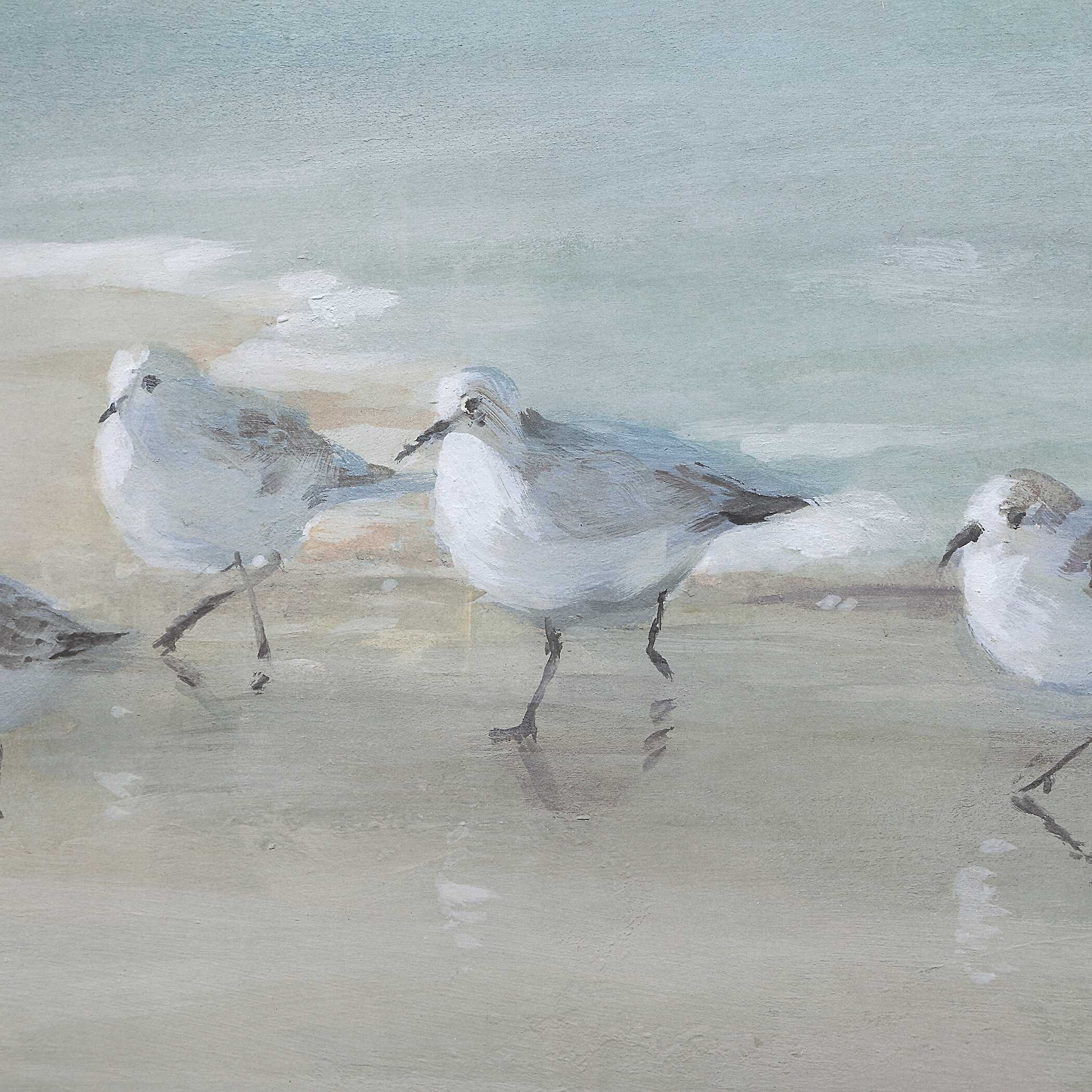 Tranquil Shorebirds On The Sand Framed Print - Image 4