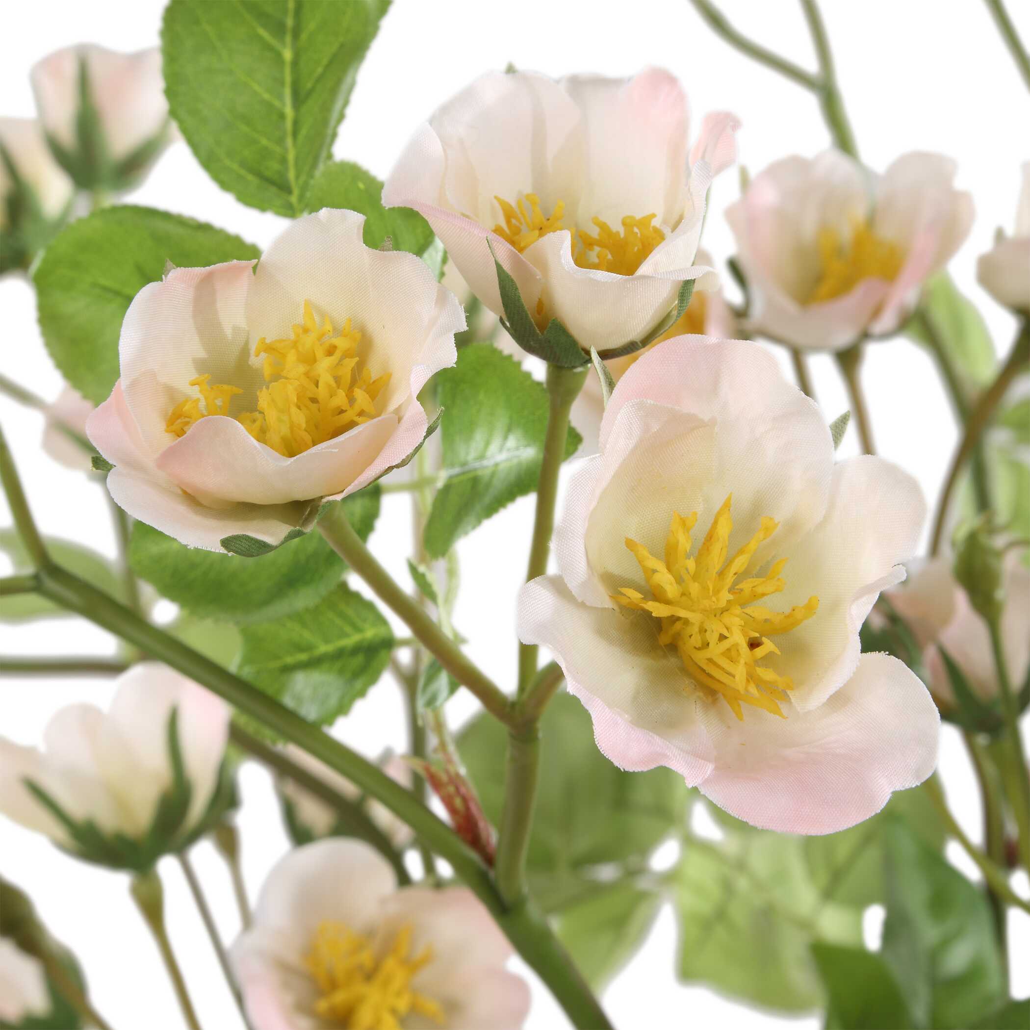 Tranquility Lenten Rose Bouquets - Set of 2 - Image 3