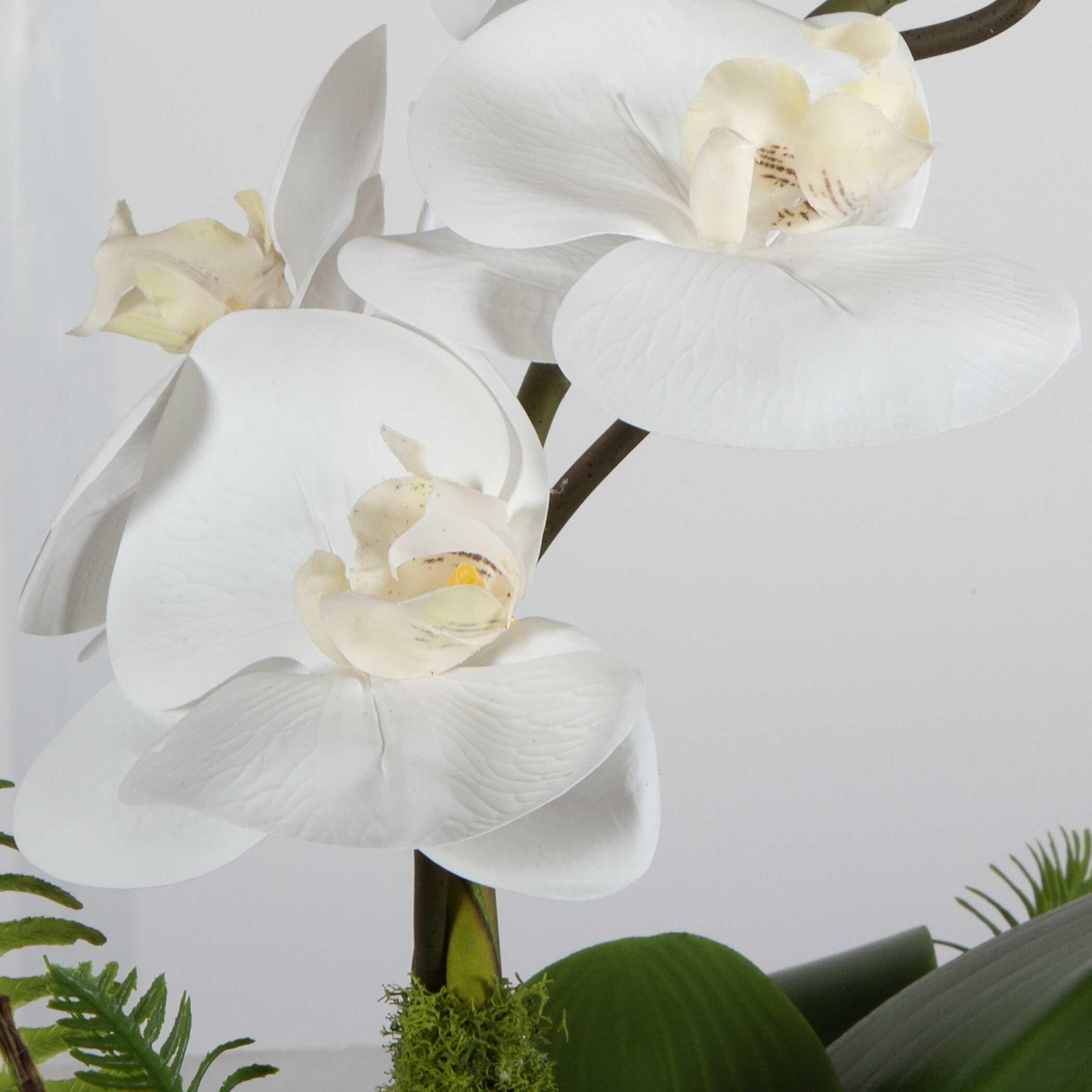 Transcend Orchid Centerpiece - Image 5