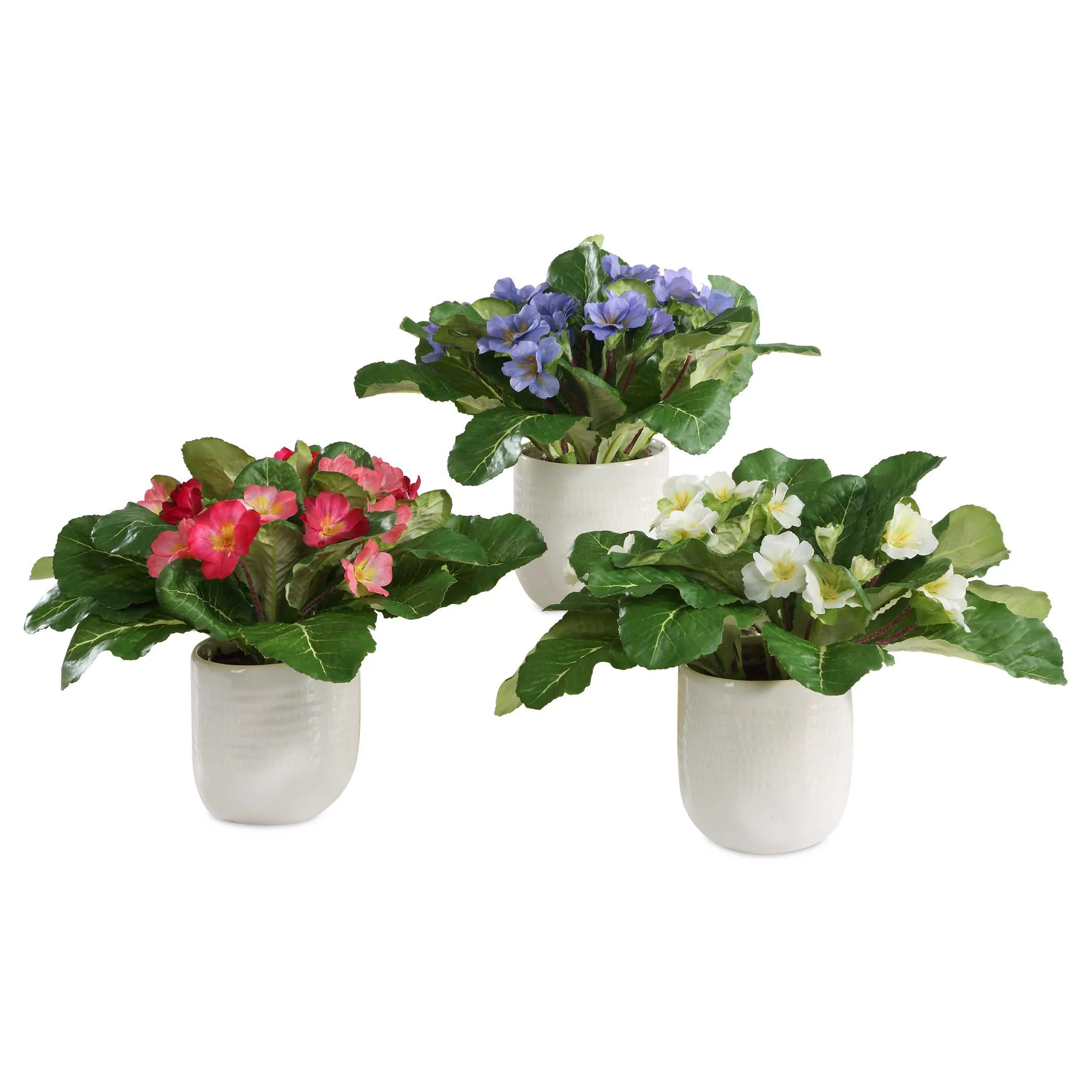 Trilogy Primrose Accents In Vases - Set of 3