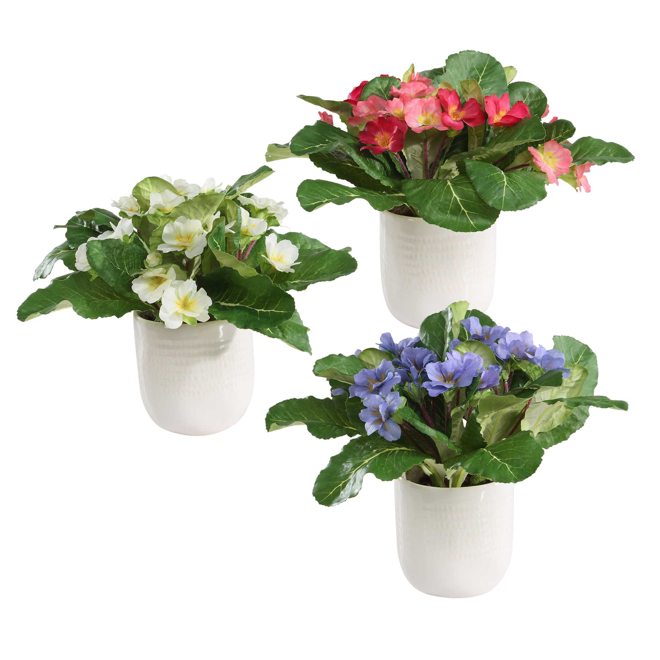Trilogy Primrose Accents In Vases - Set of 3 - Image 3