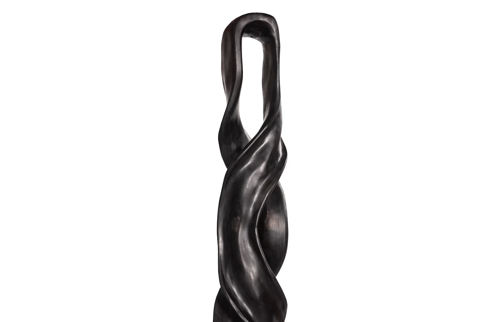 Twisting Root - Image 3