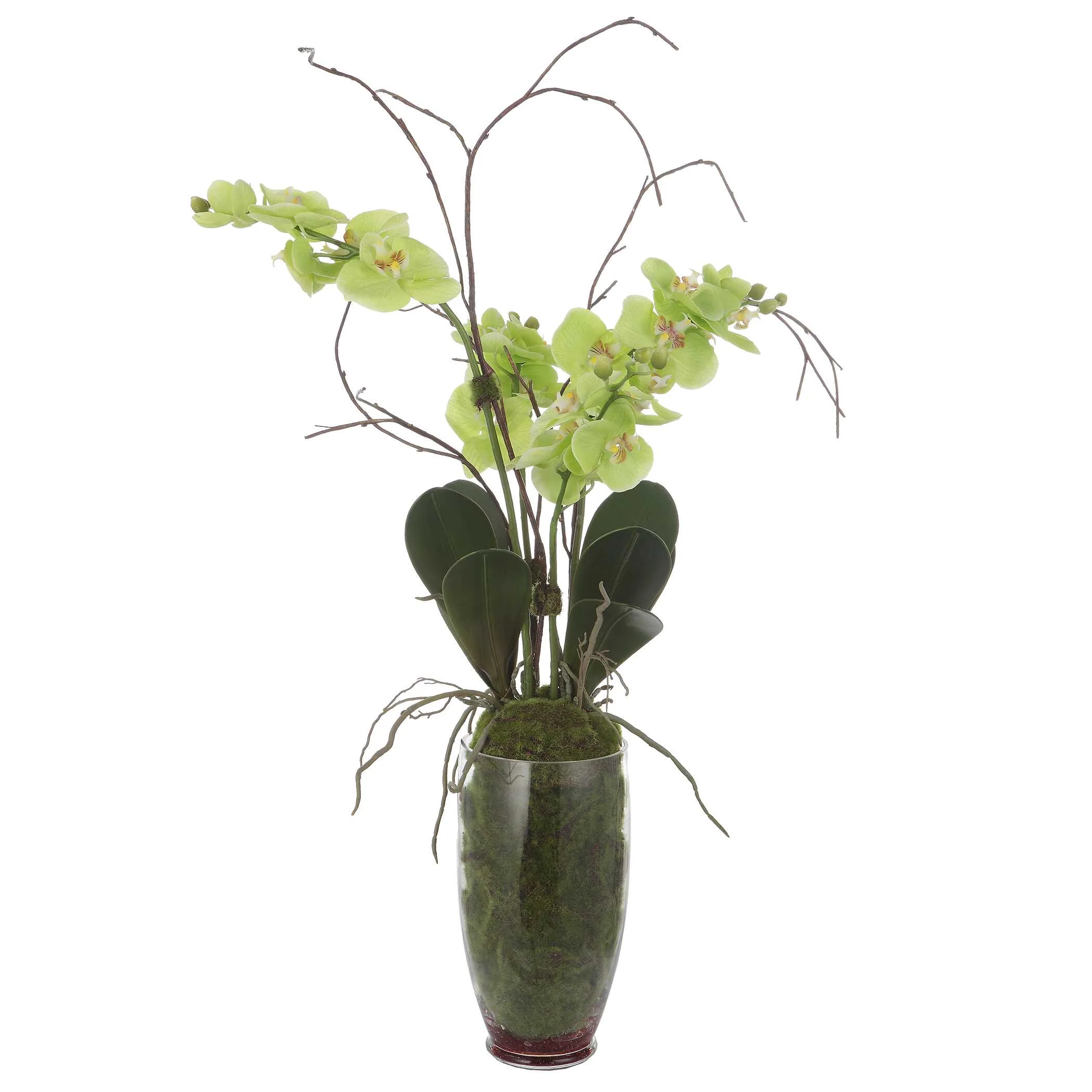 Valdive Orchid - Image 3