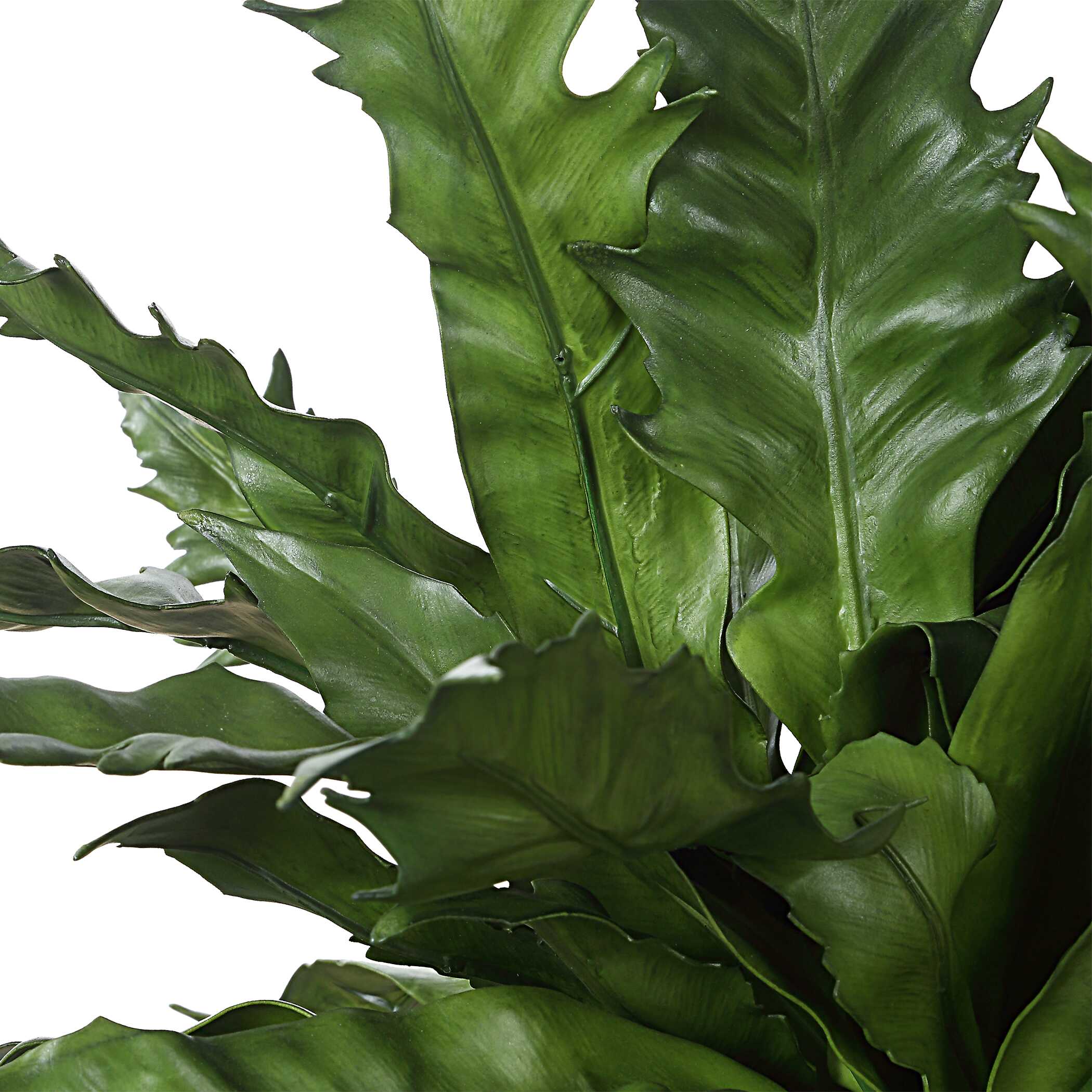 Verdure Fern In Glazed Pot - Image 6